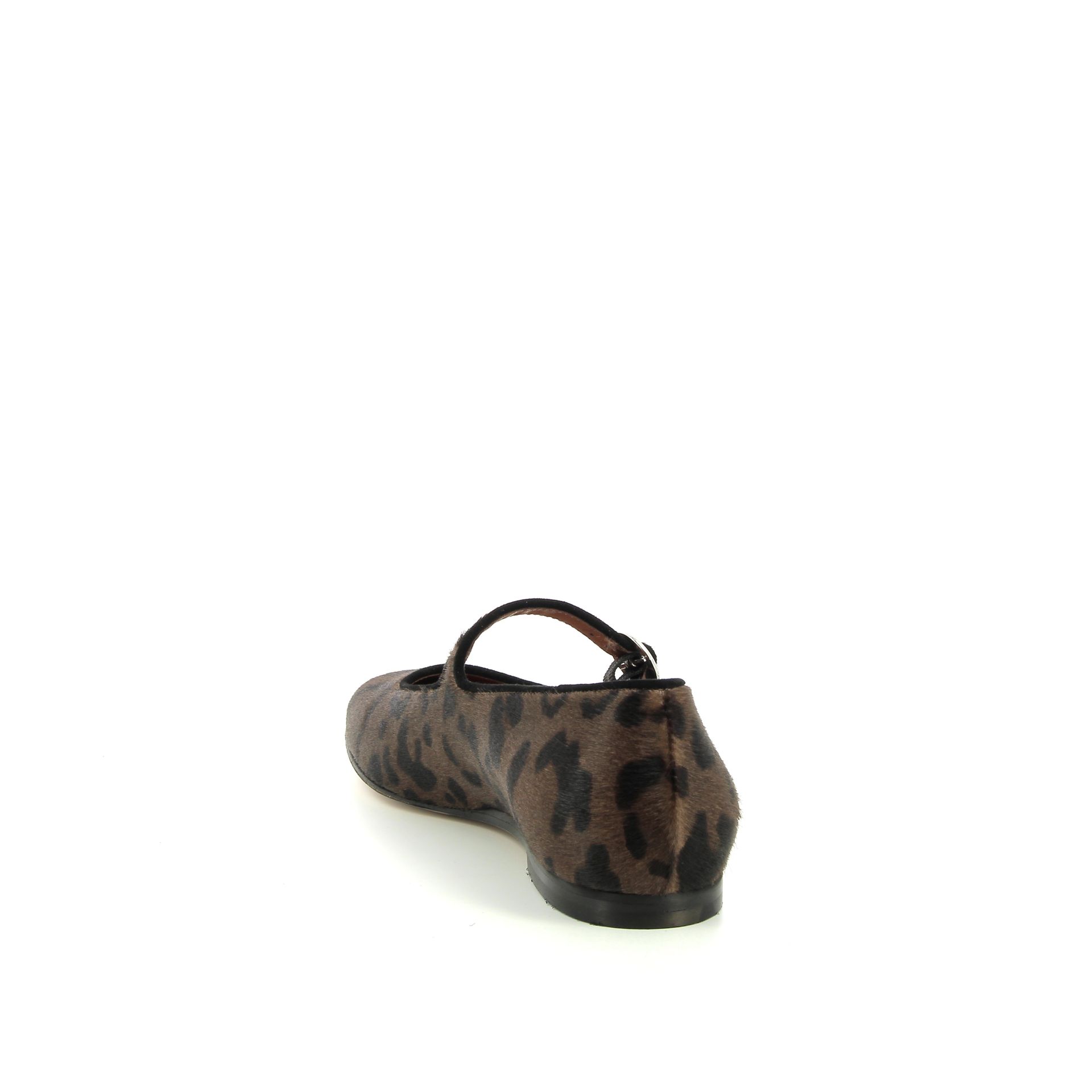 Voltan Ballerina 256492 bruin