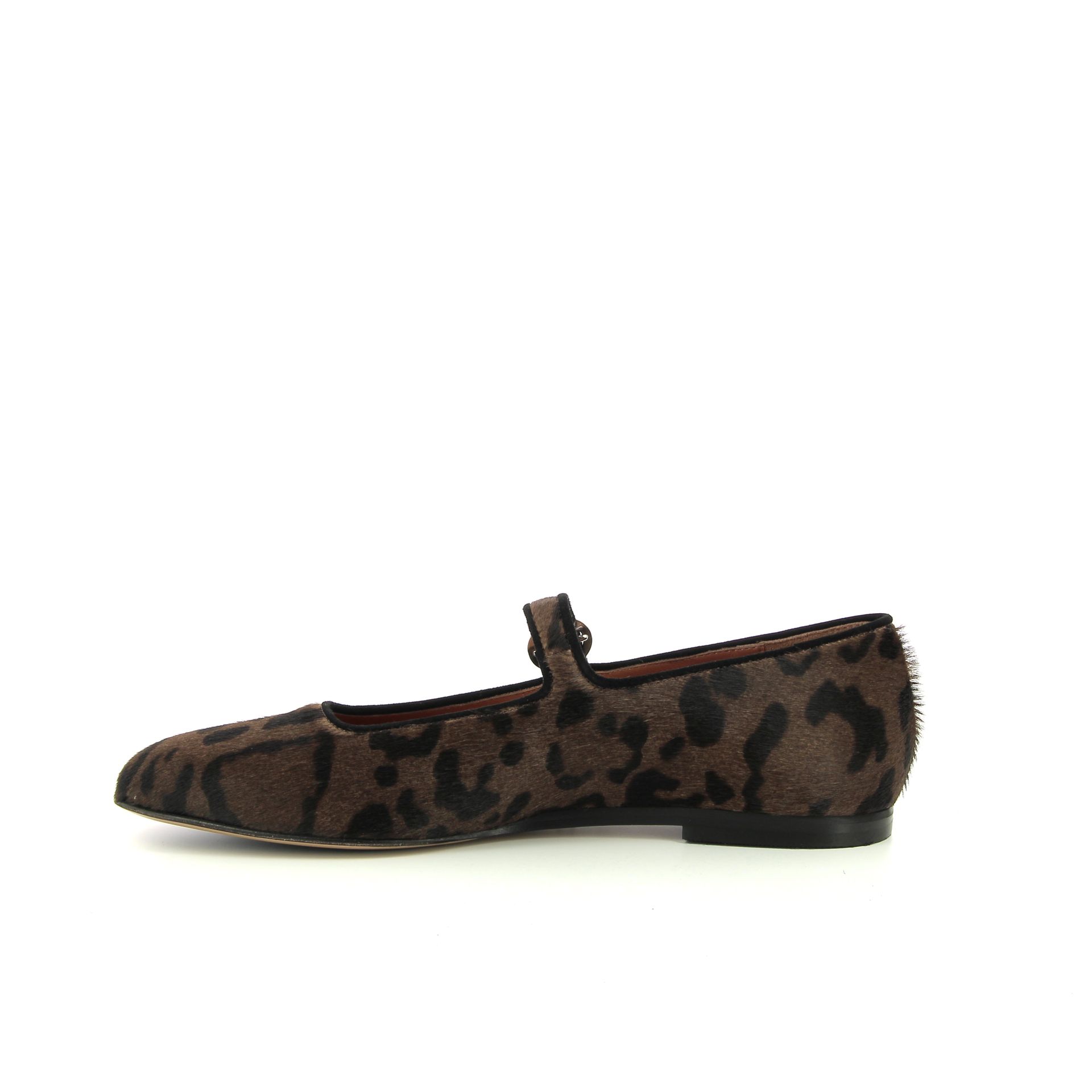 Voltan Ballerina 256492 bruin