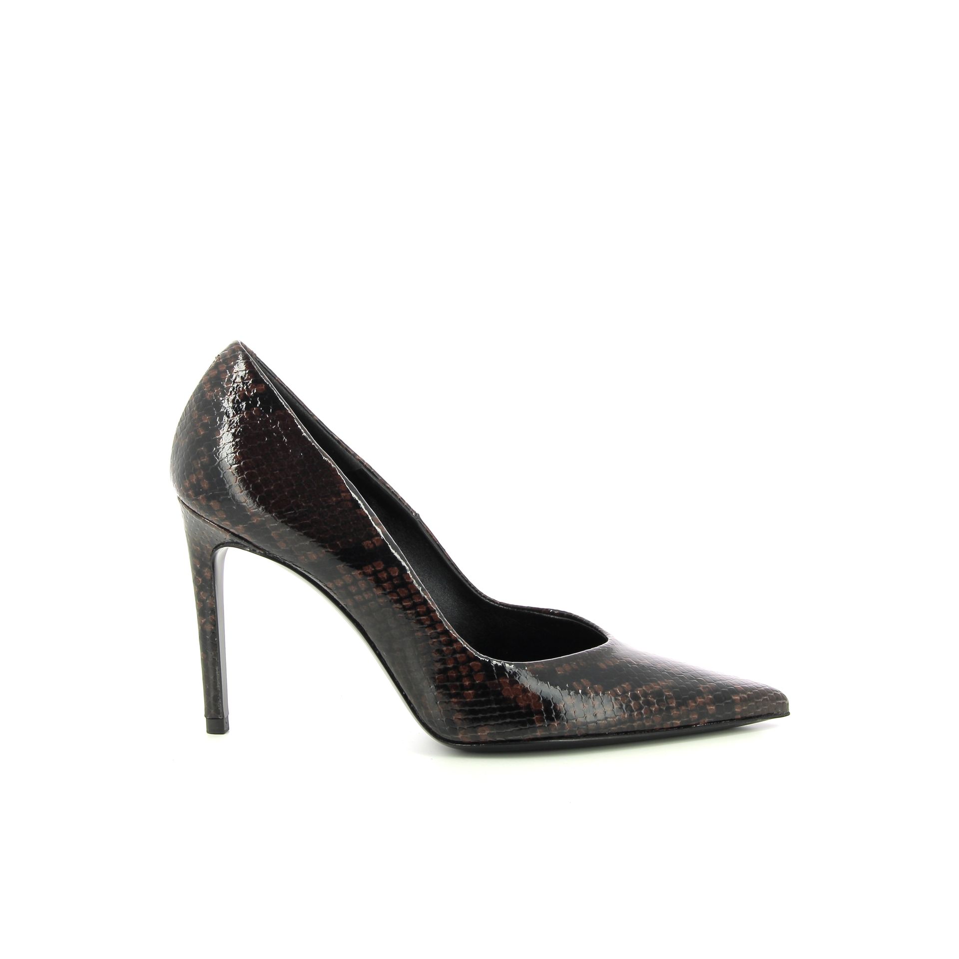 Guglielmo Rotta Falcon 256914 bruin