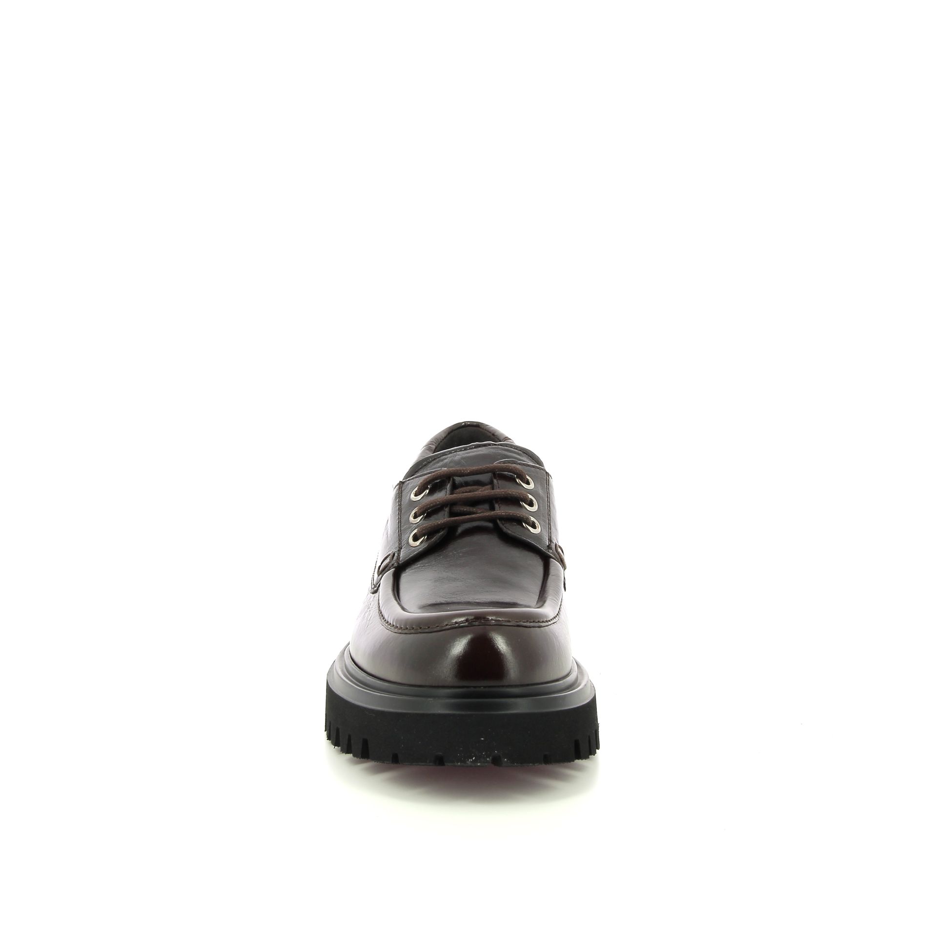 Guglielmo Rotta Wylder 256922 bruin
