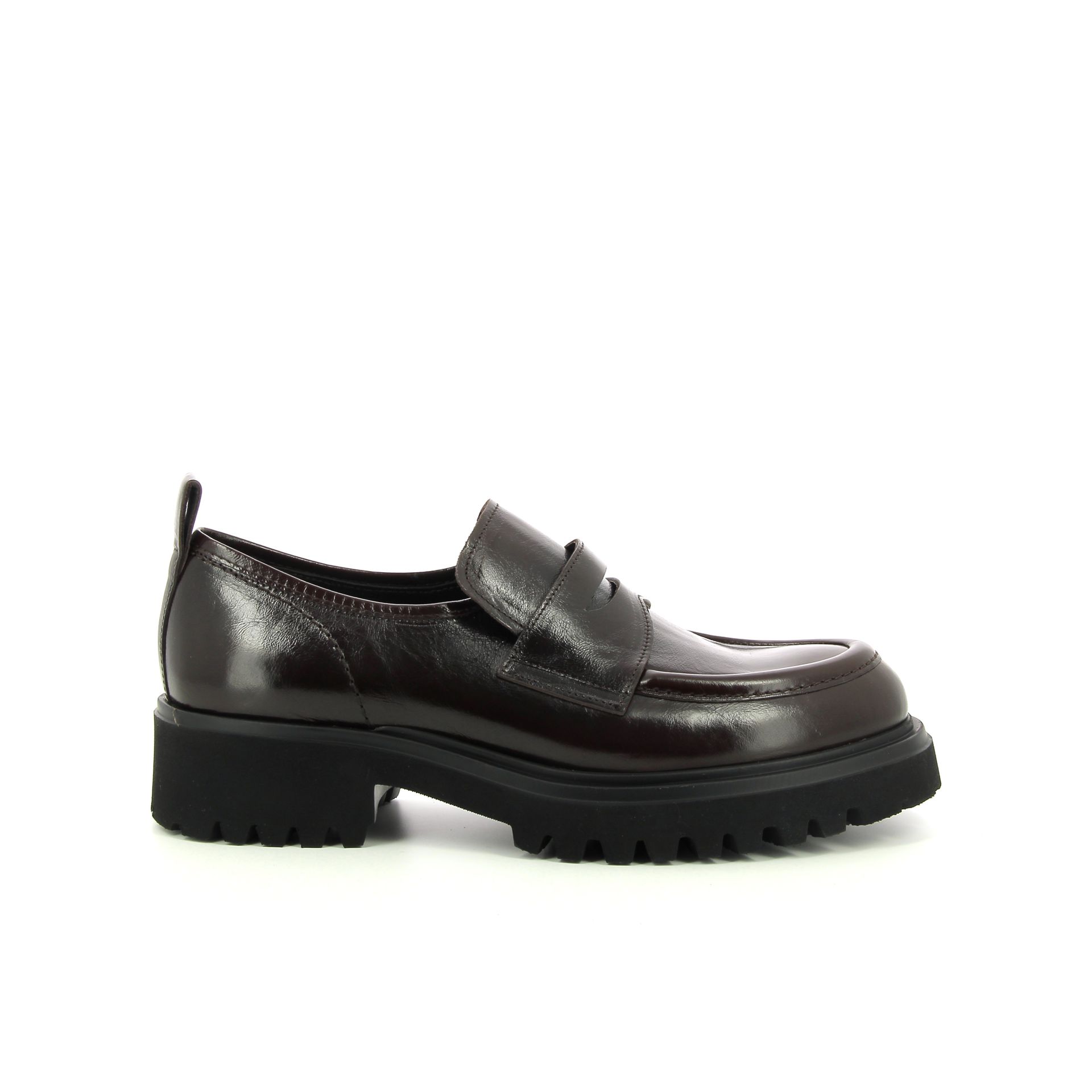 Guglielmo Rotta Wyatt 256924 bruin
