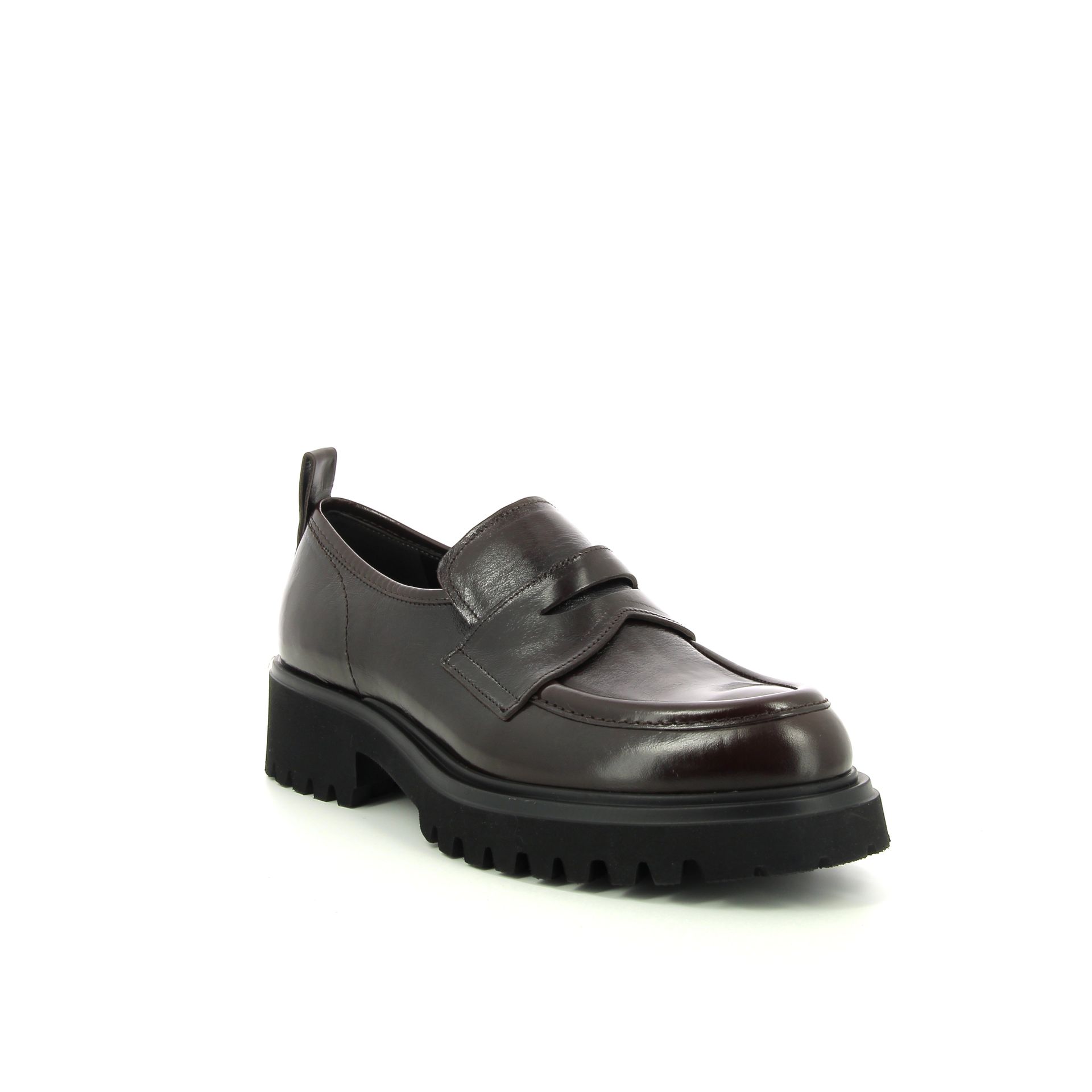 Guglielmo Rotta Wyatt 256924 bruin