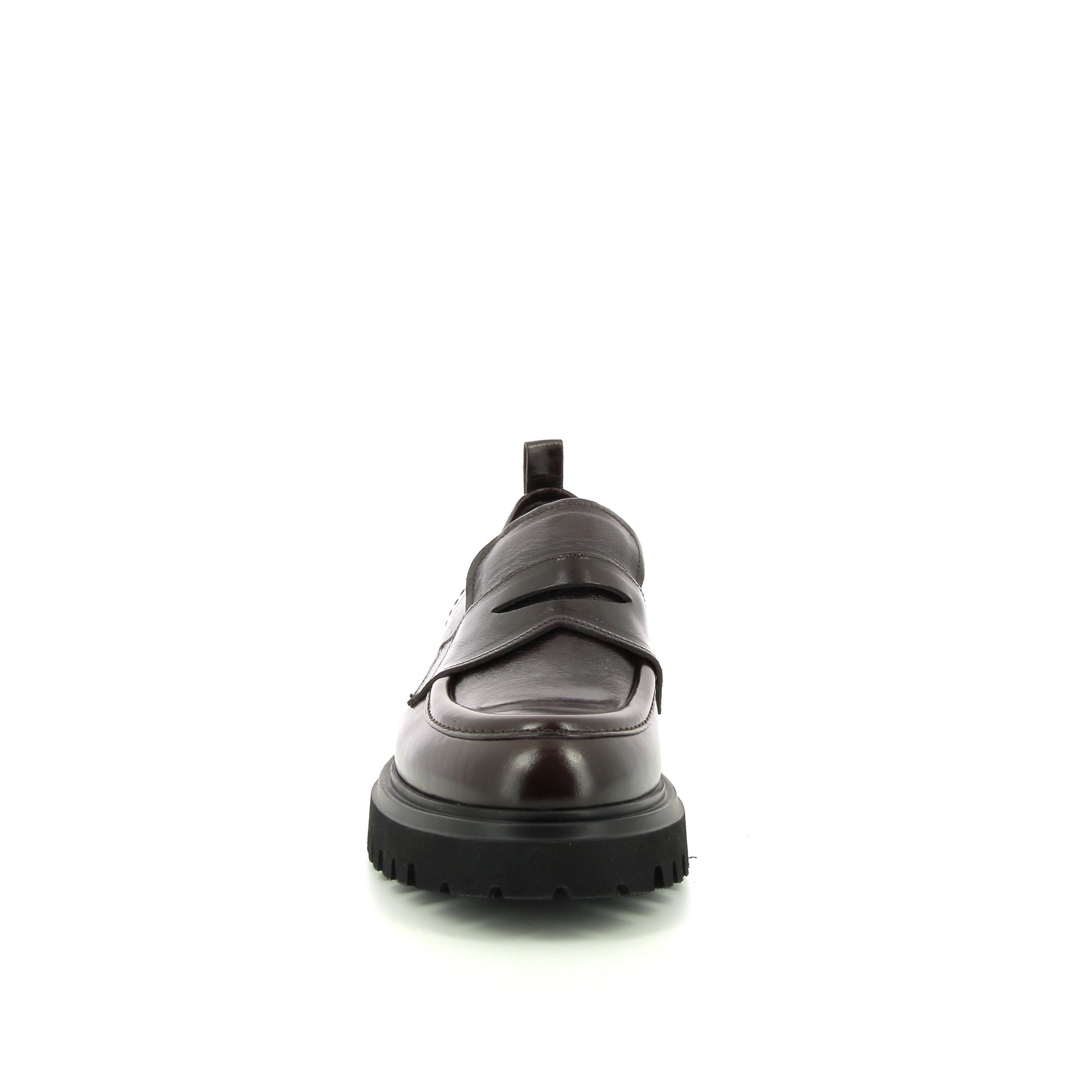 Guglielmo Rotta Wyatt 256924 bruin
