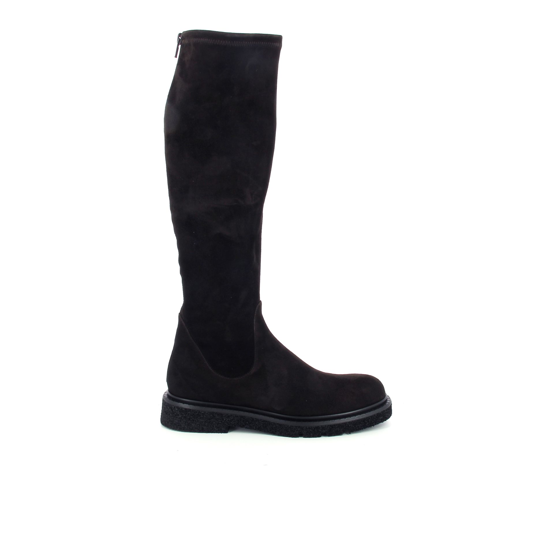Guglielmo Rotta Kerr 256933 bruin