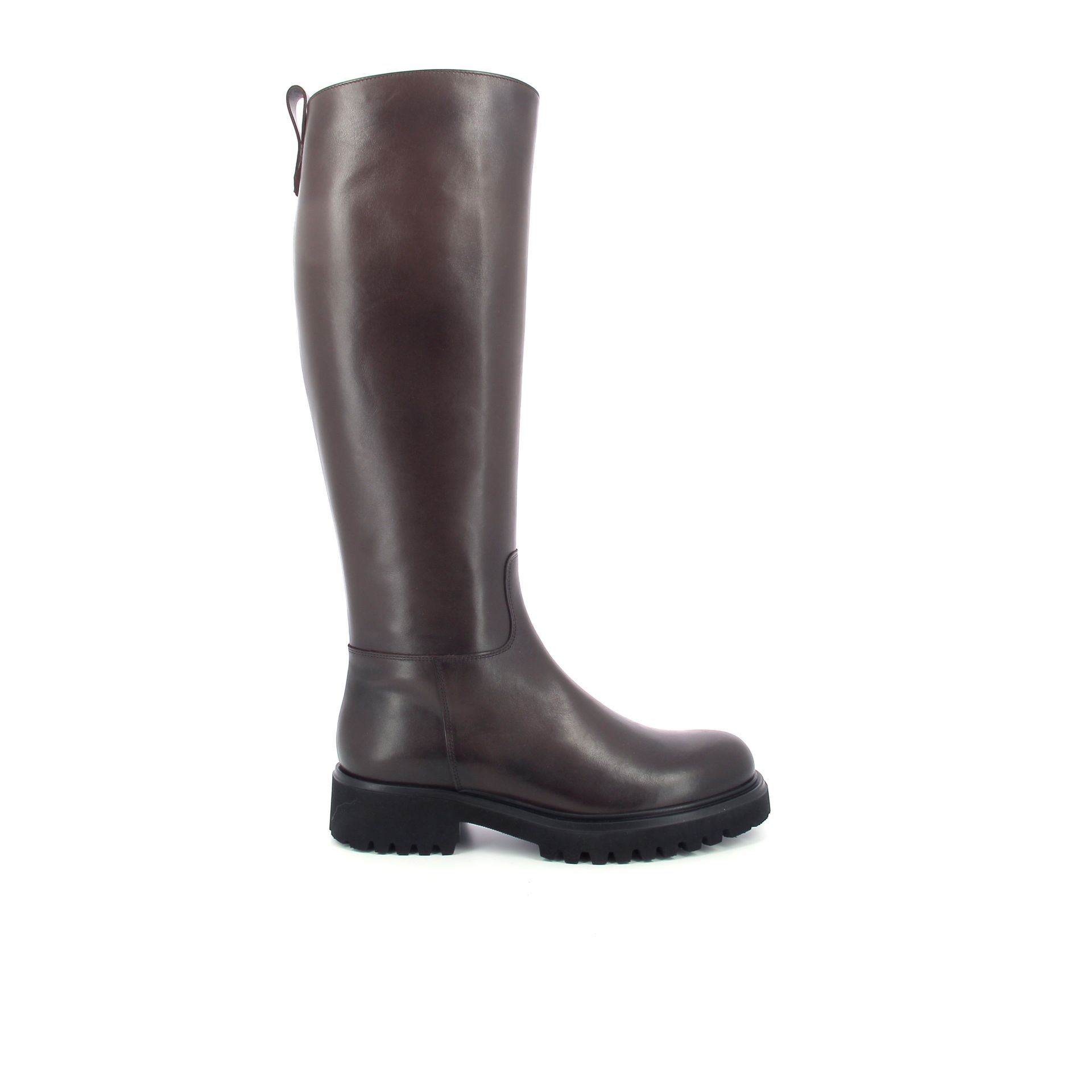 Guglielmo Rotta Warth 256935 bruin