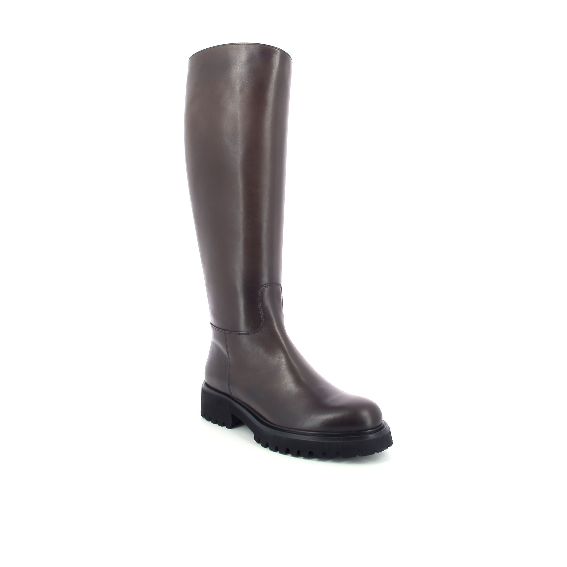 Guglielmo Rotta Warth 256935 bruin
