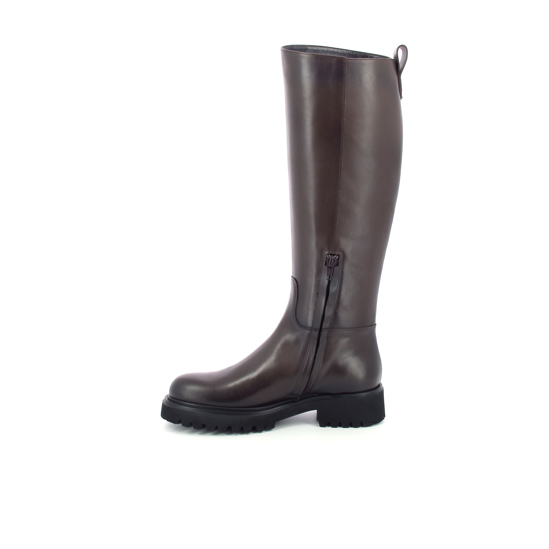Guglielmo Rotta Warth 256935 bruin