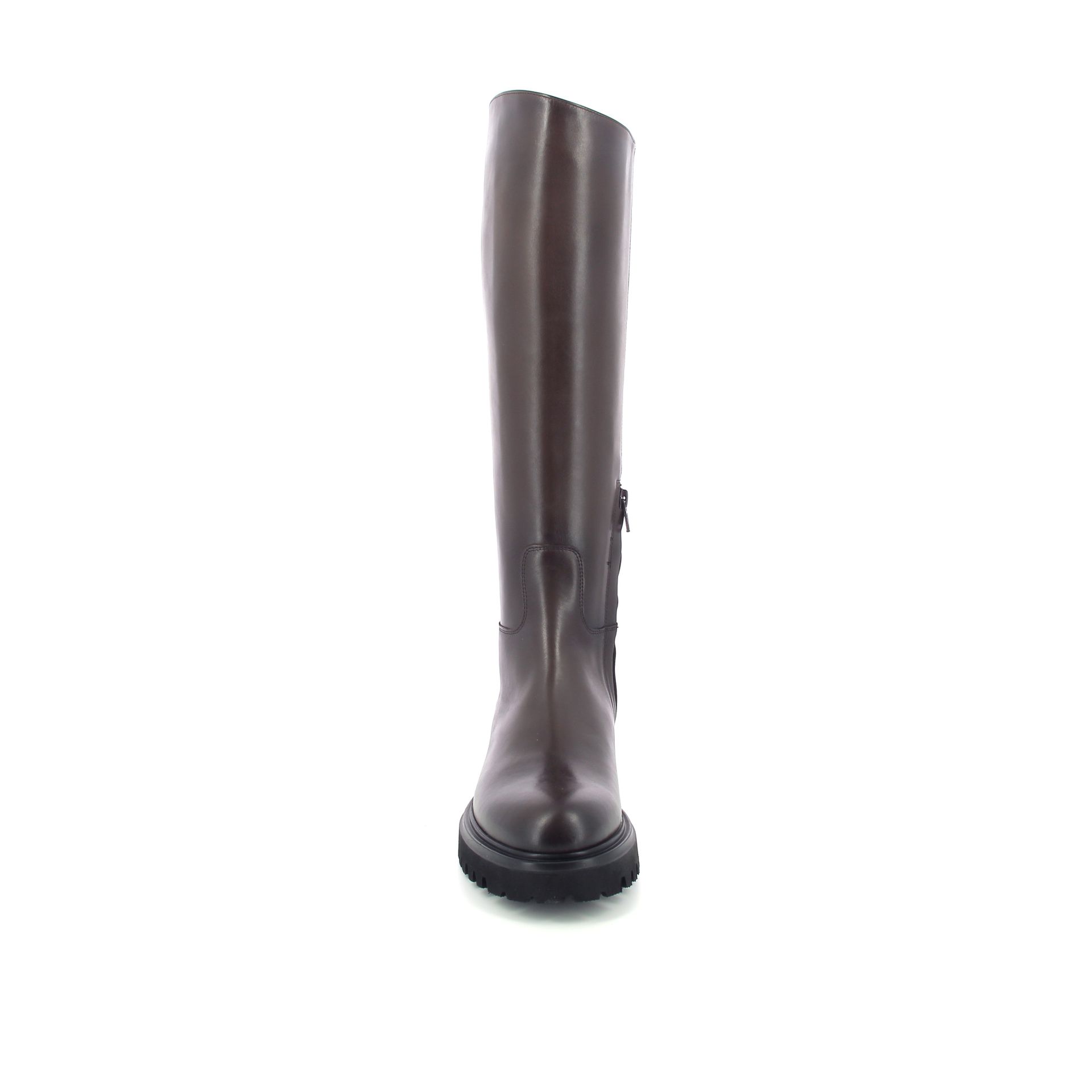 Guglielmo Rotta Warth 256935 bruin