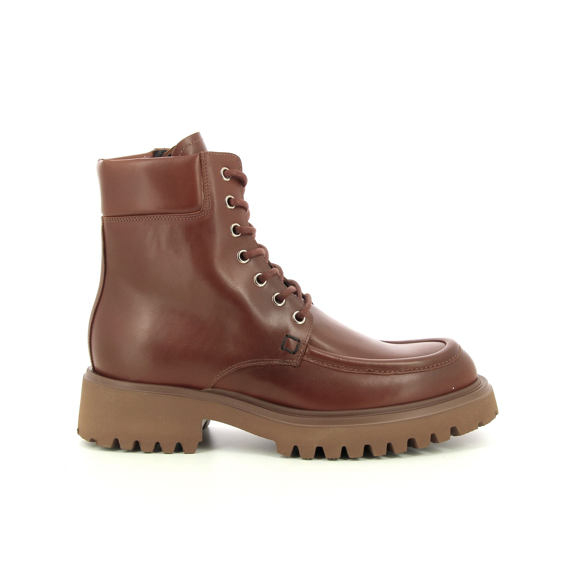 Guglielmo Rotta Winfield 256936 cognac