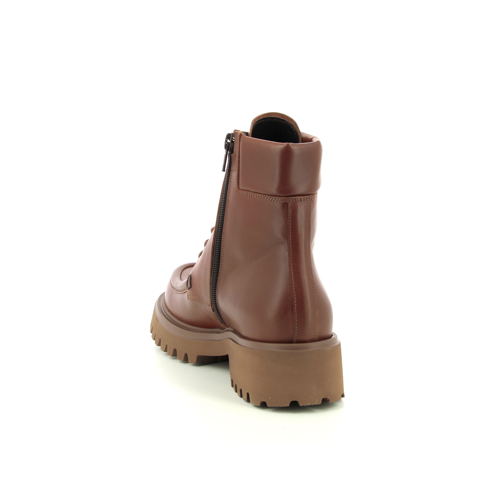 Guglielmo Rotta Winfield 256936 cognac
