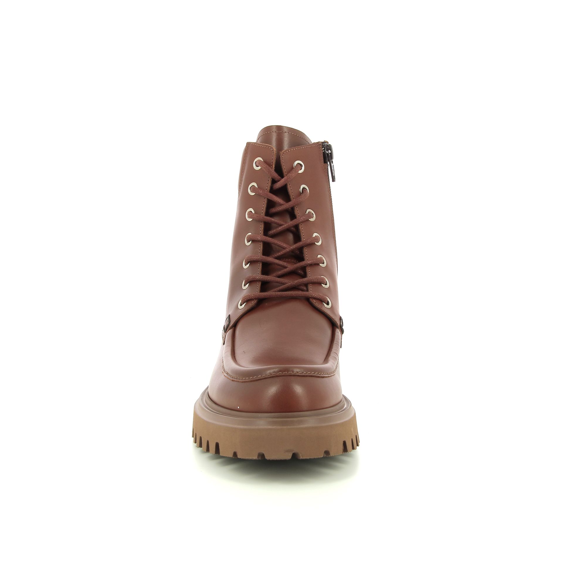 Guglielmo Rotta Winfield 256936 cognac