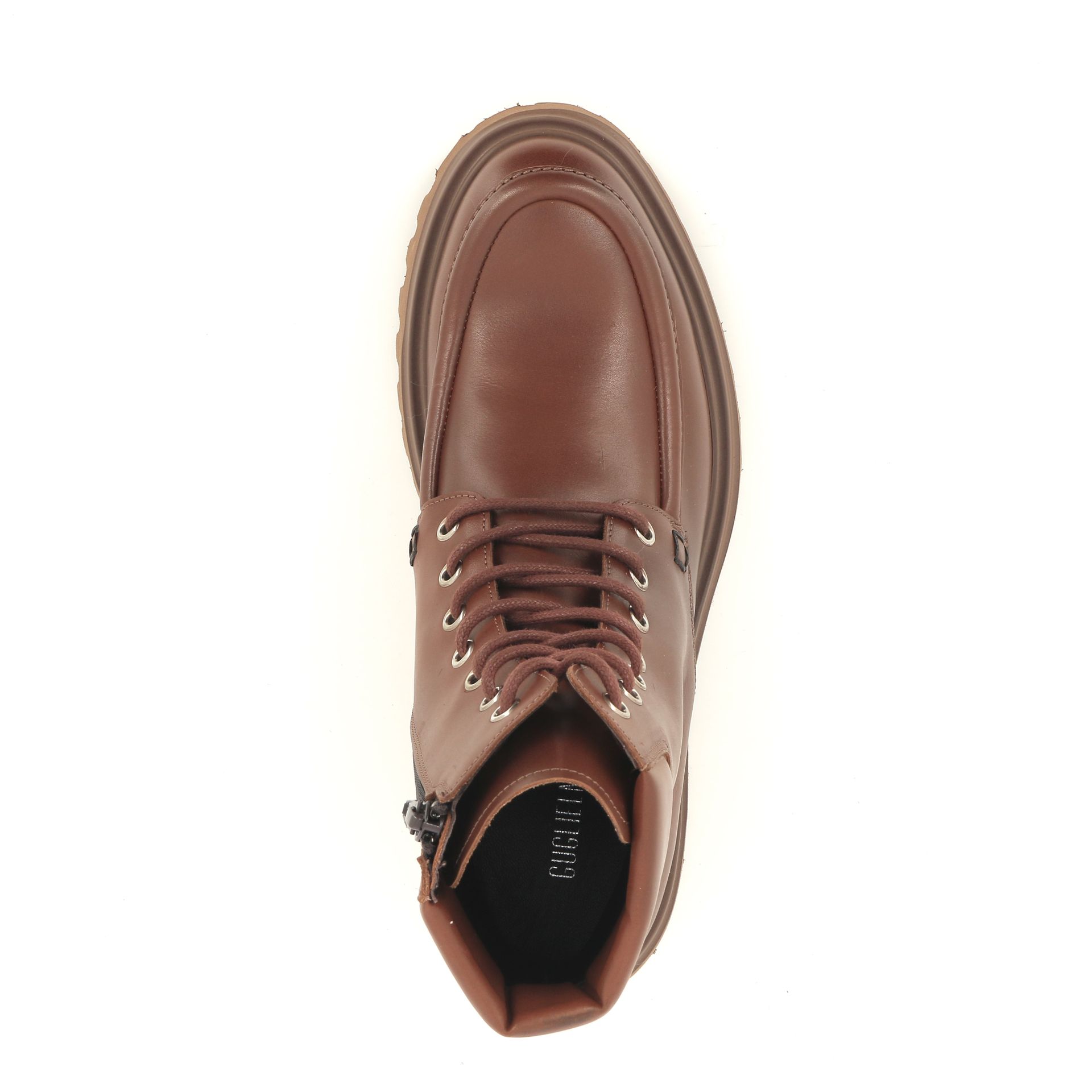 Guglielmo Rotta Winfield 256936 cognac