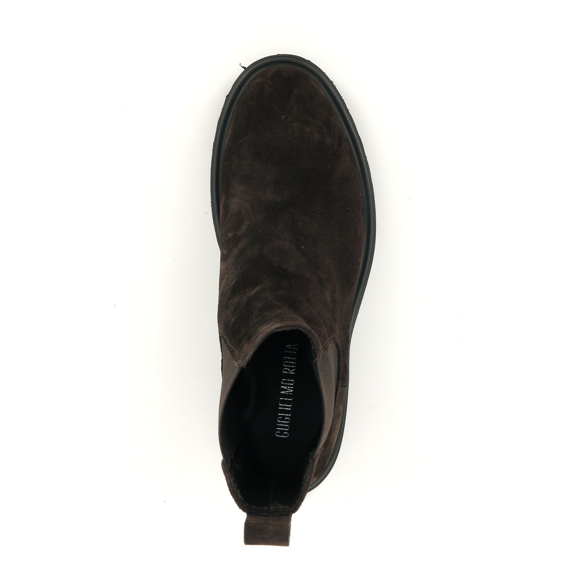 Guglielmo Rotta Worms 256941 bruin