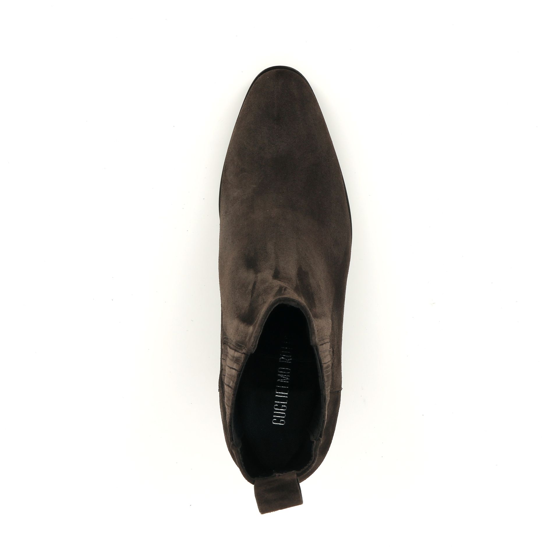 Guglielmo Rotta Cody 256944 bruin