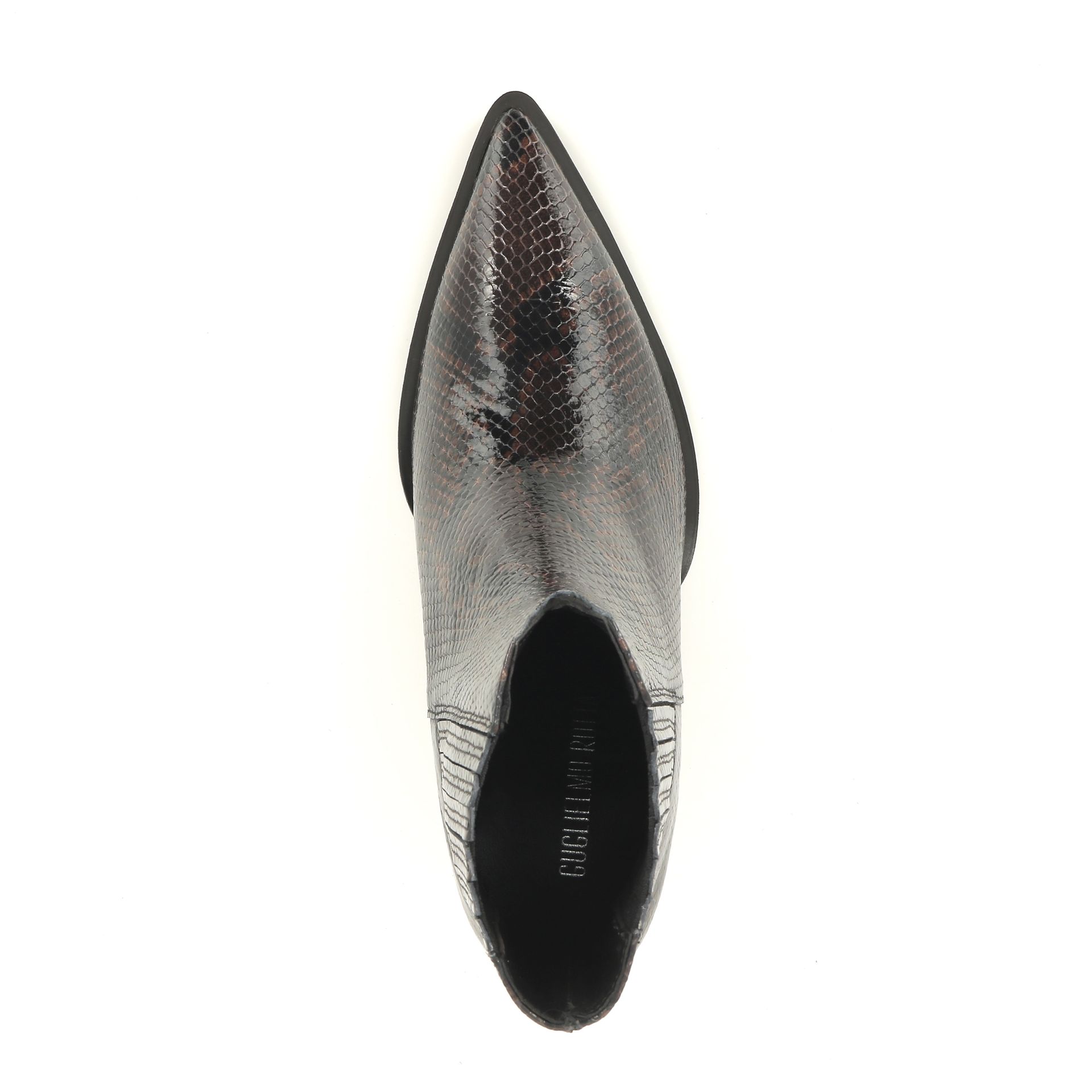 Guglielmo Rotta Alina 256949 bruin