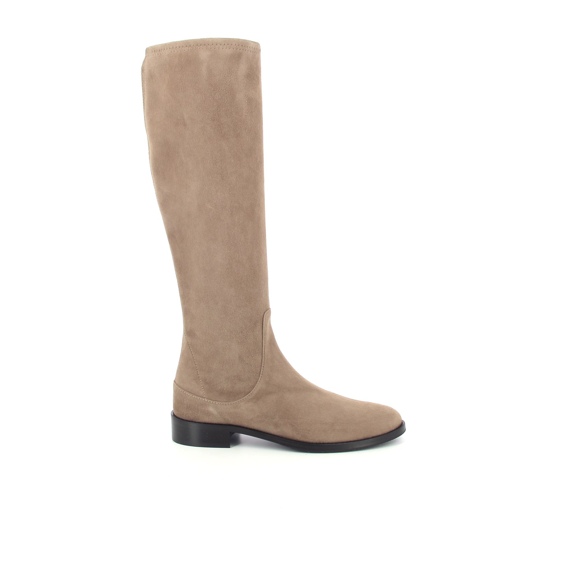 Lorenzo Masiero Laars 257289 taupe