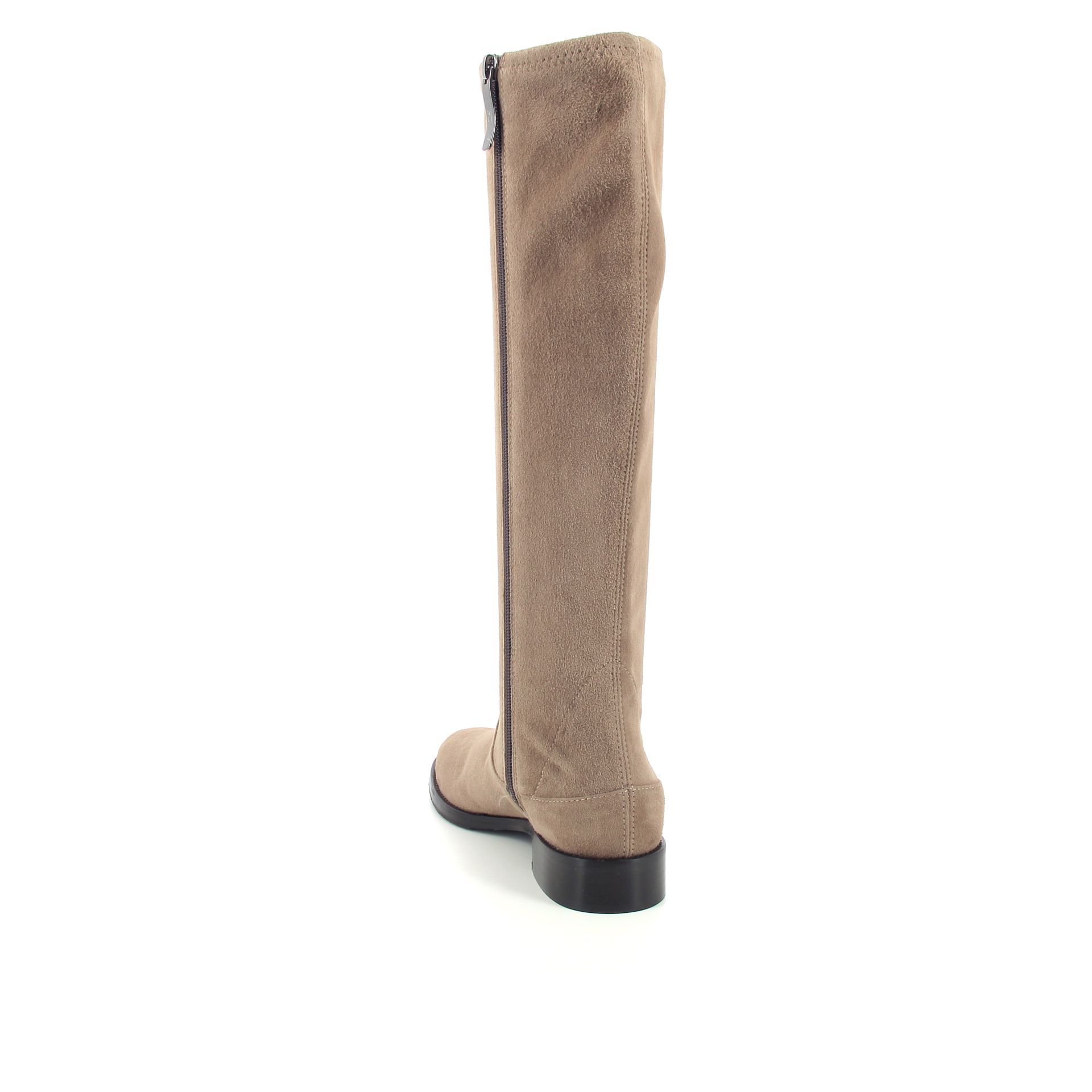 Lorenzo Masiero Laars 257289 taupe