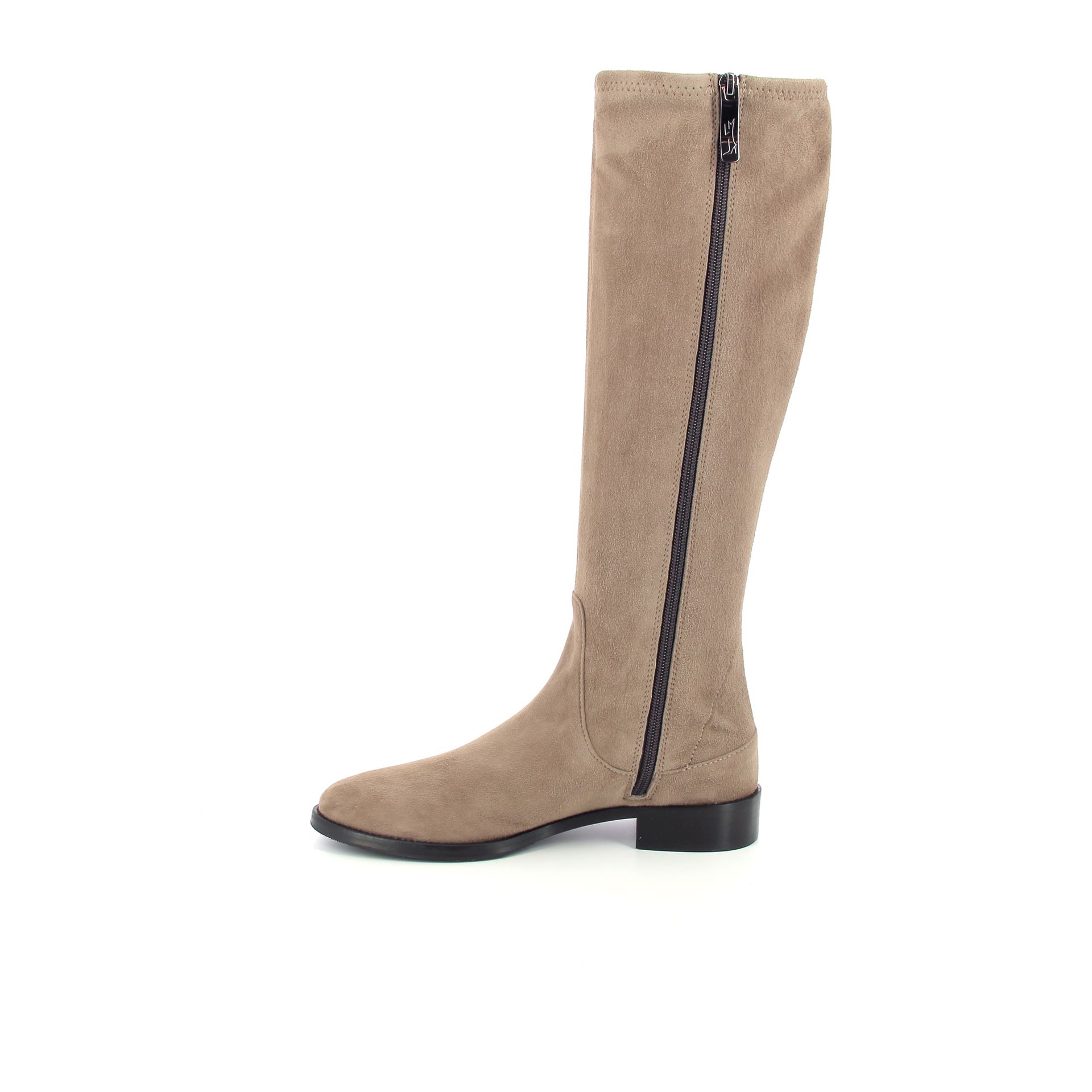 Lorenzo Masiero Laars 257289 taupe