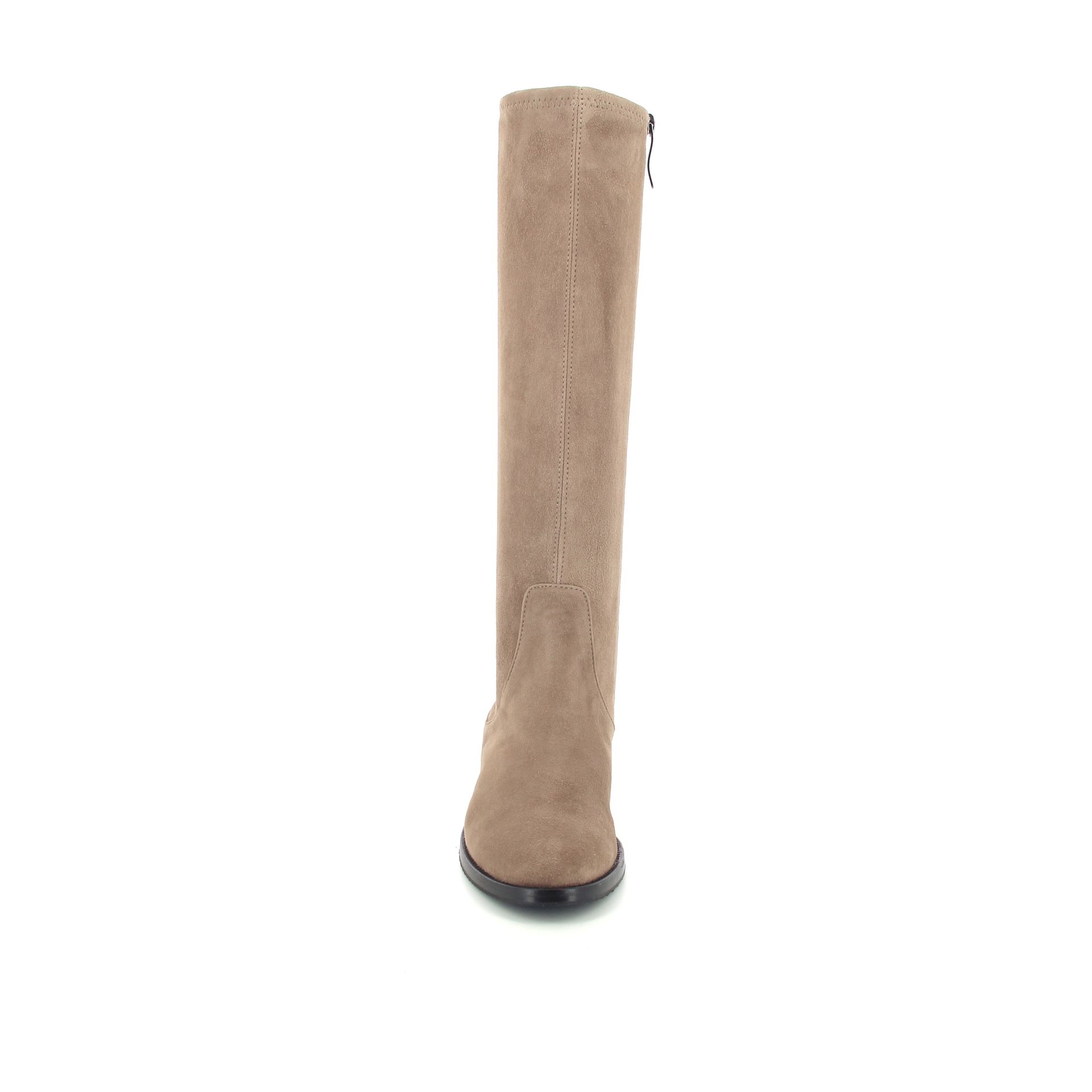 Lorenzo Masiero Laars 257289 taupe