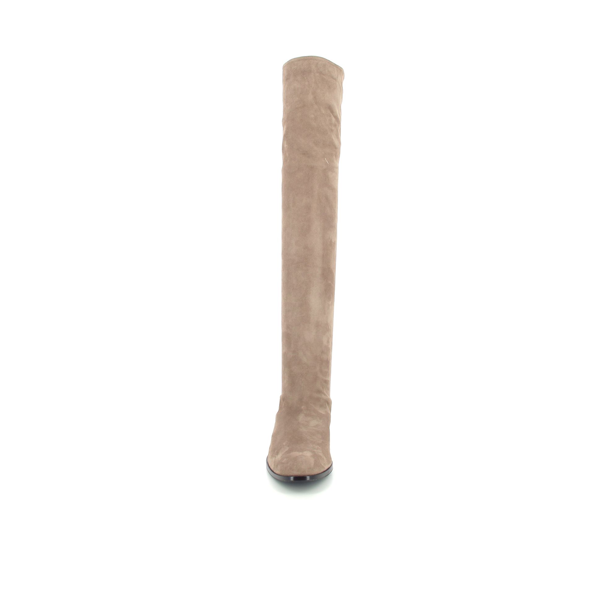 Lorenzo Masiero Laars 257301 taupe