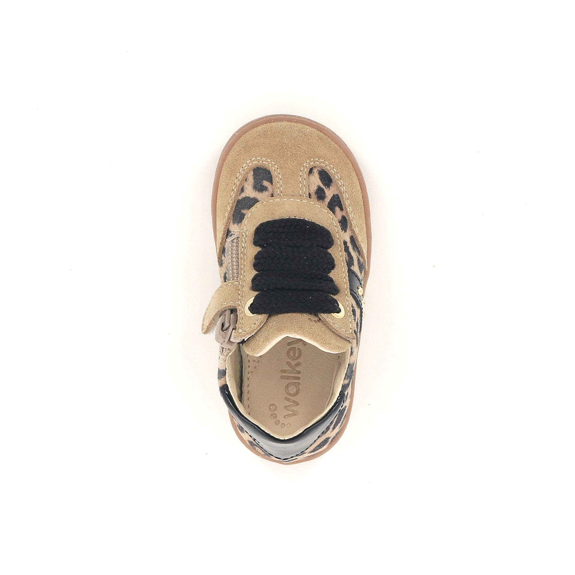 Morelli Sneaker 257341 cognac