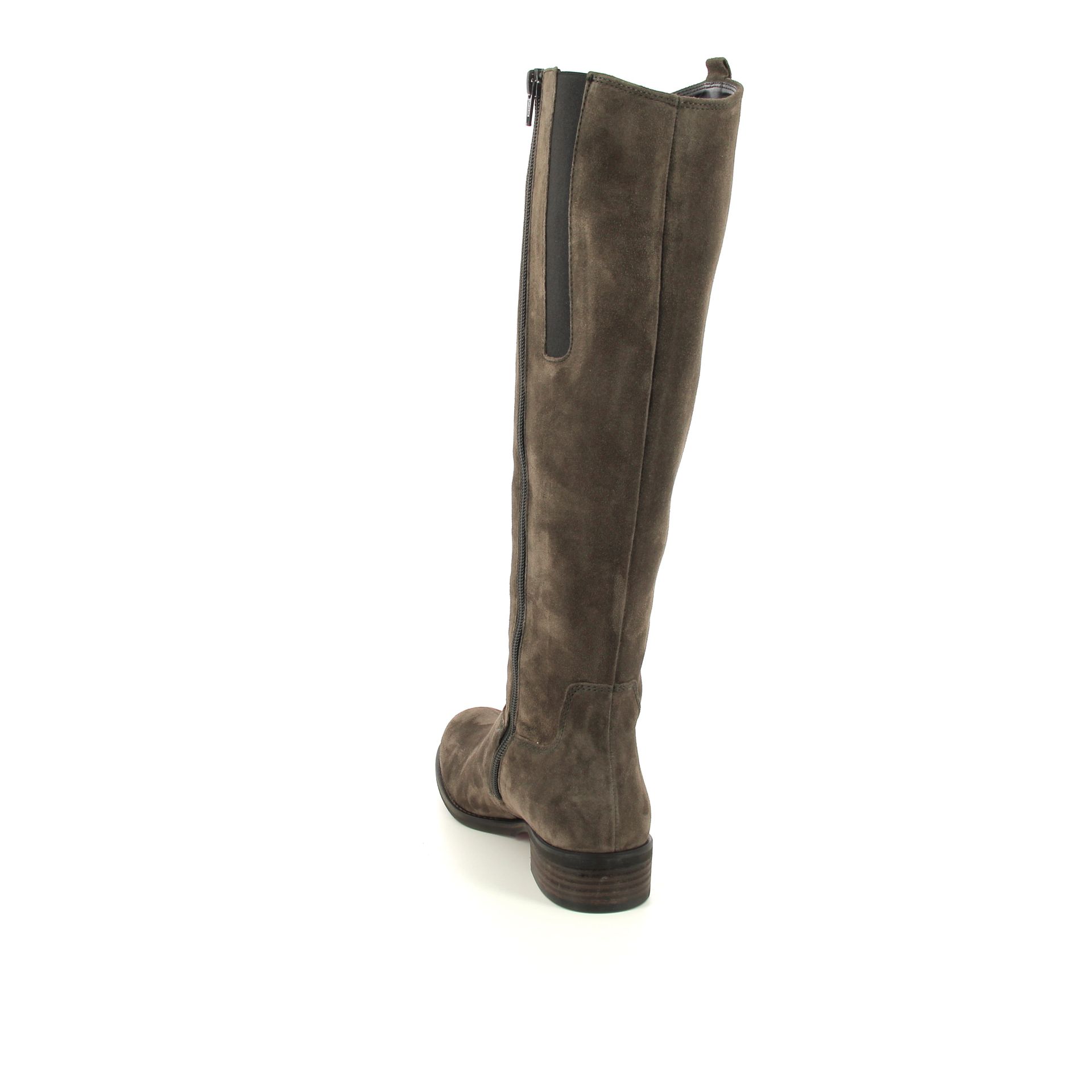 Gabor Laars 257422 bruin