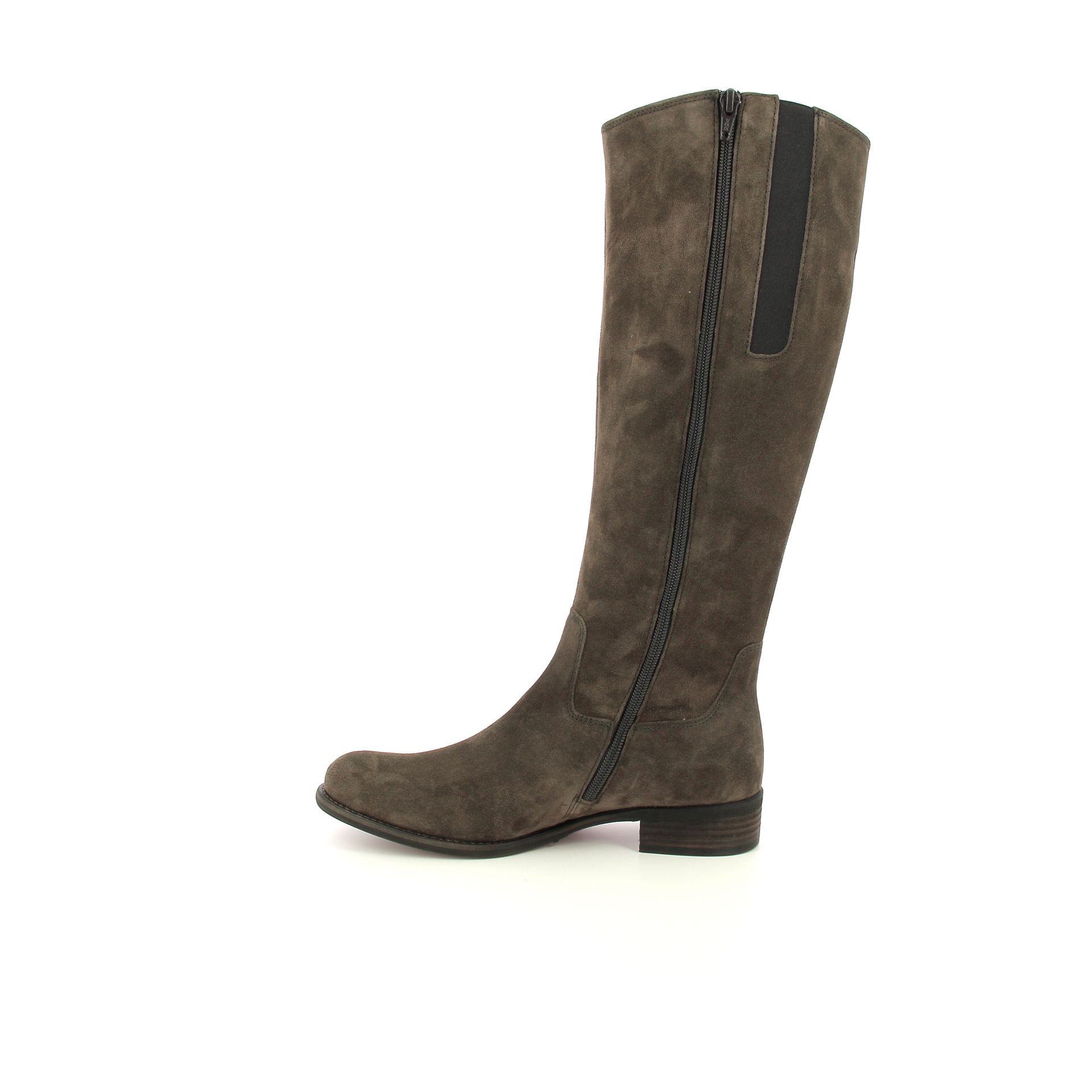 Gabor Laars 257422 bruin