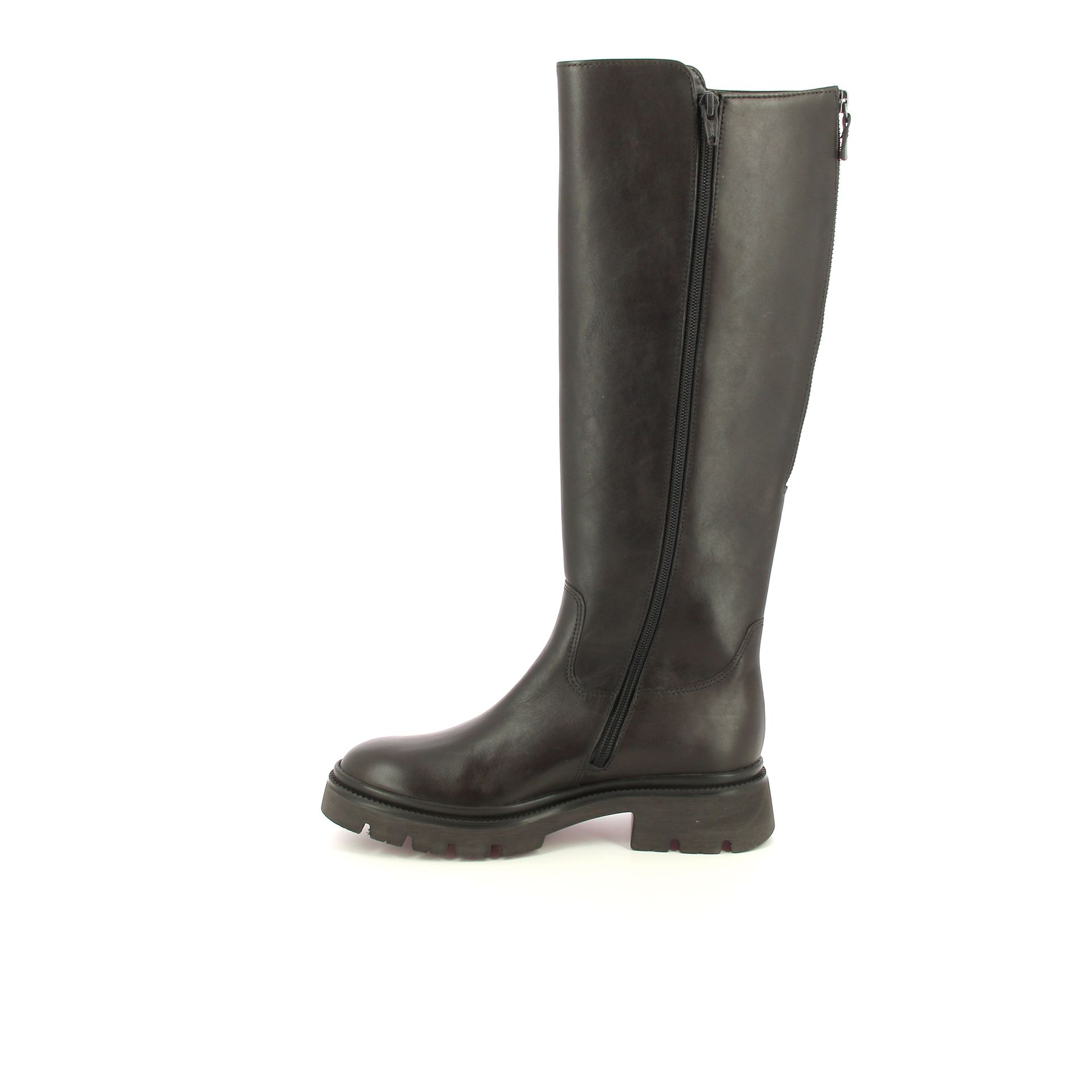 Gabor Laars 257423 bruin
