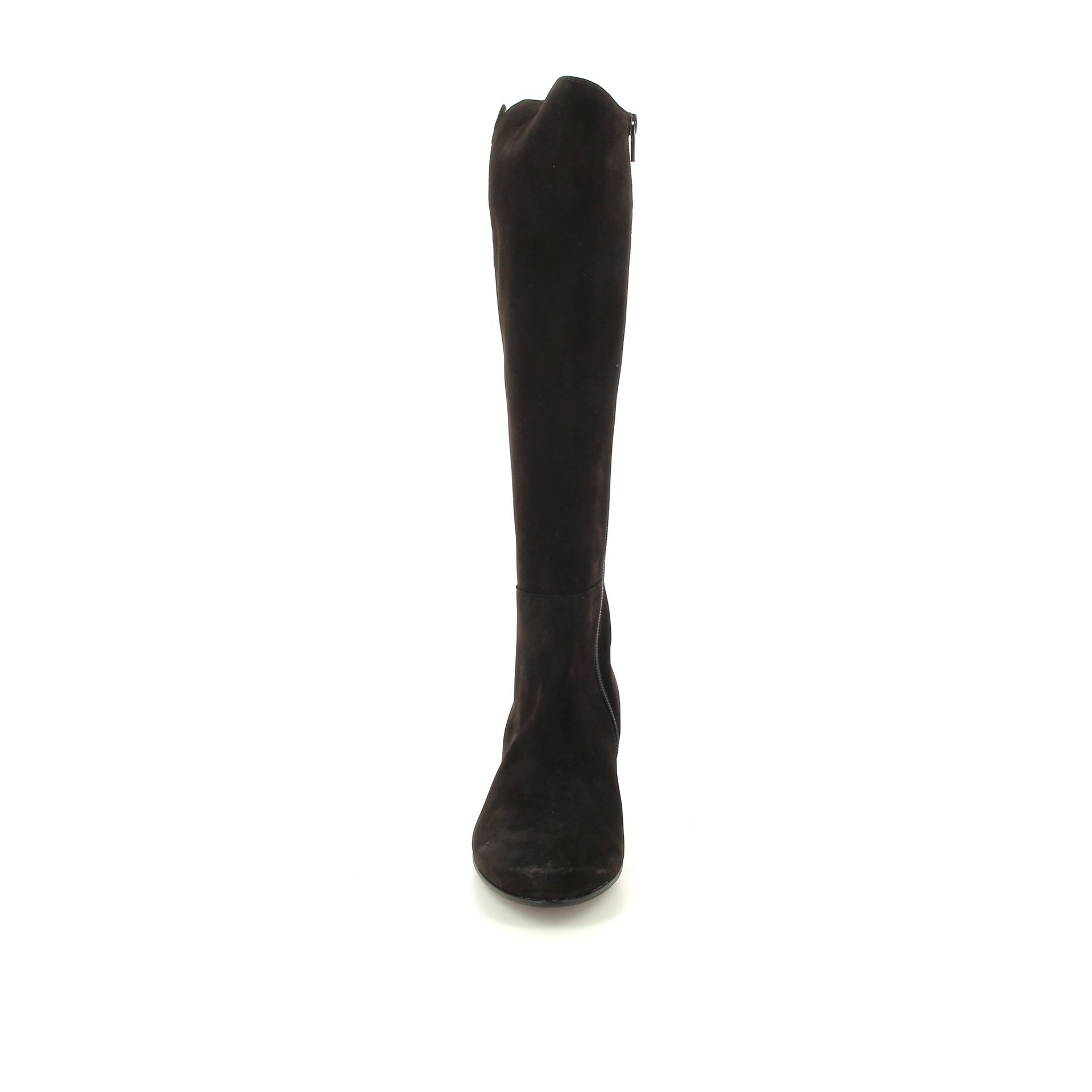 Gabor Laars 257427 bruin