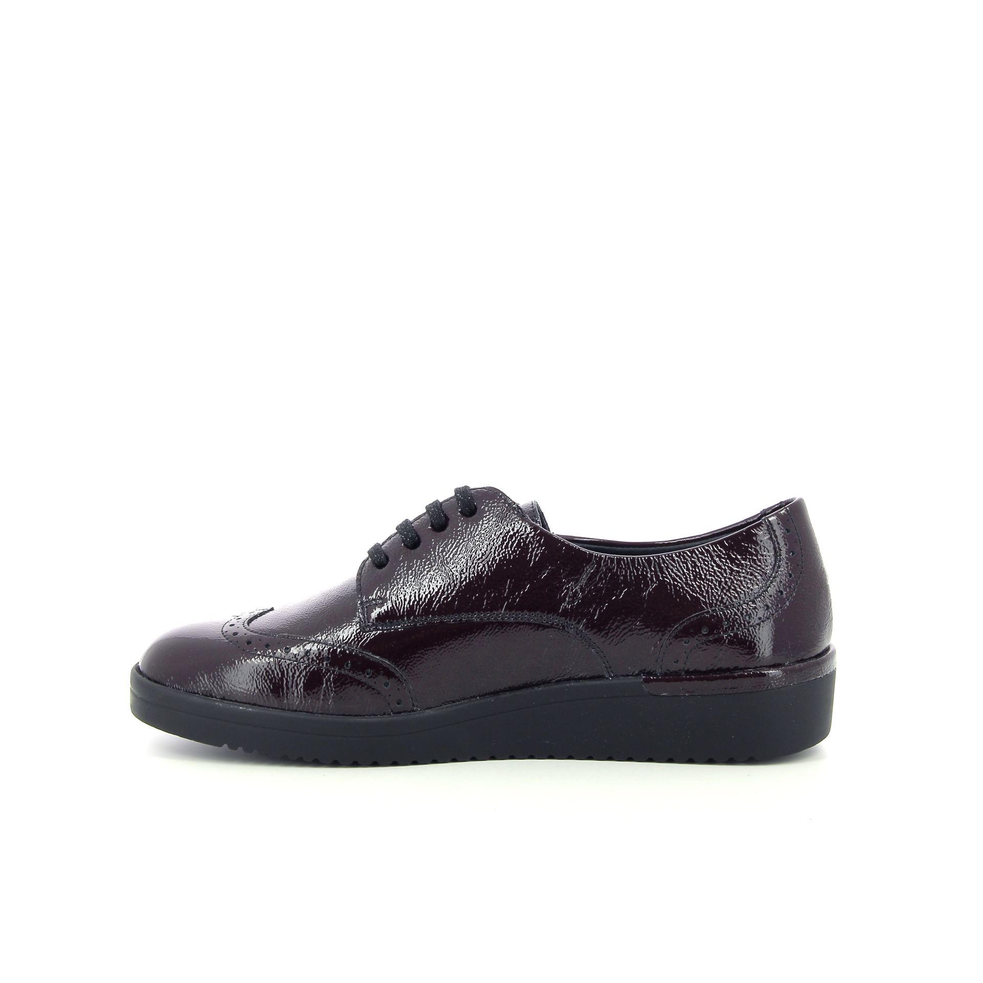 Solidus Kathy 257518 rood