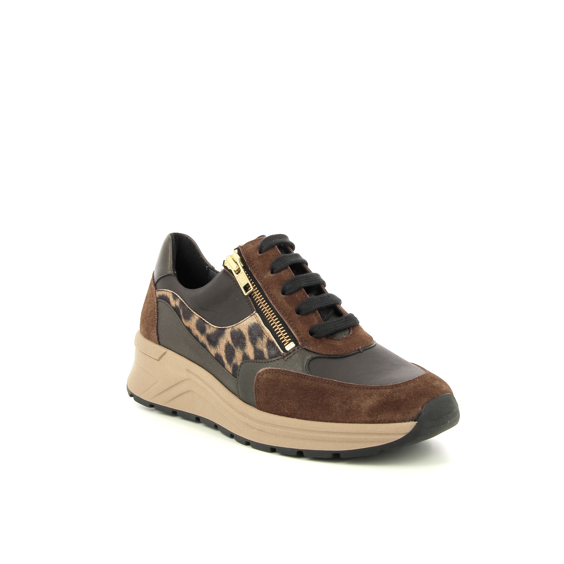 Solidus Holly 257522 bruin