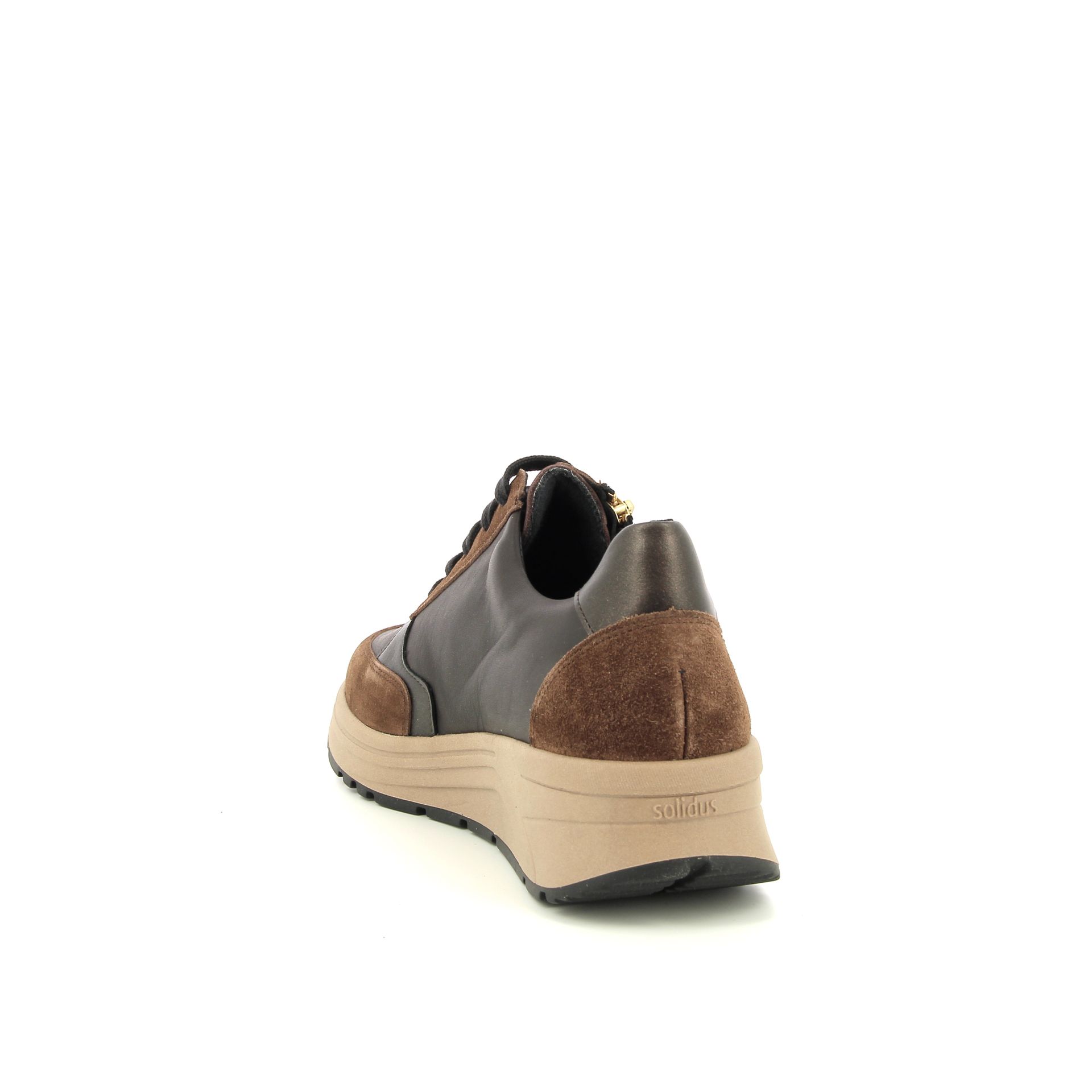 Solidus Holly 257522 bruin