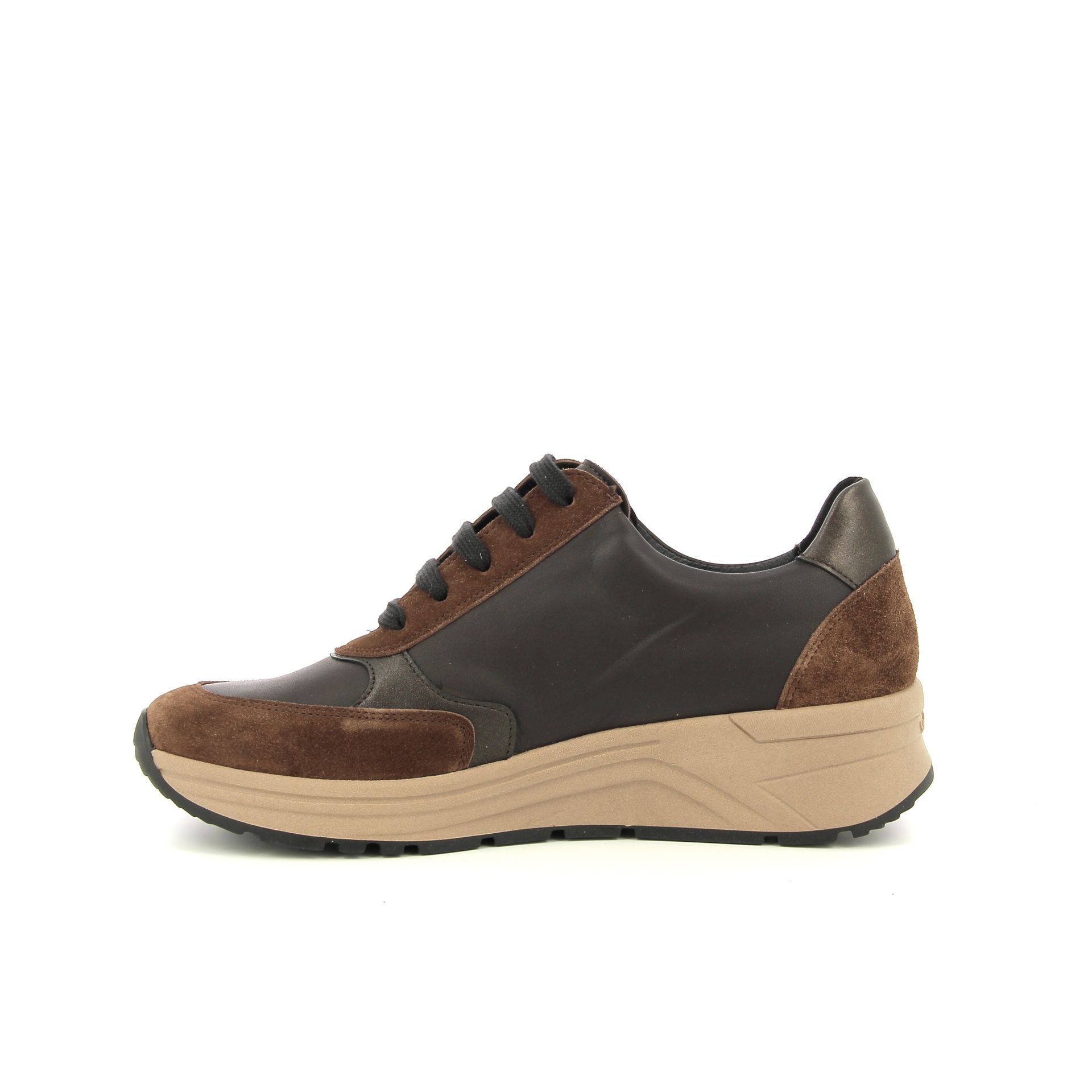 Solidus Holly 257522 bruin