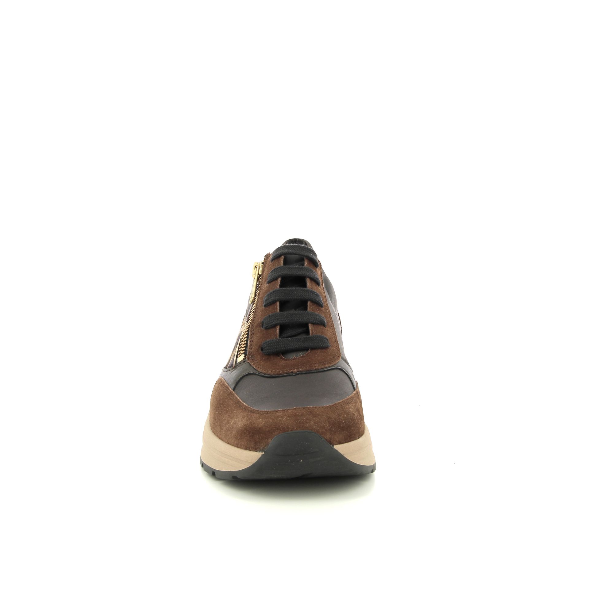 Solidus Holly 257522 bruin
