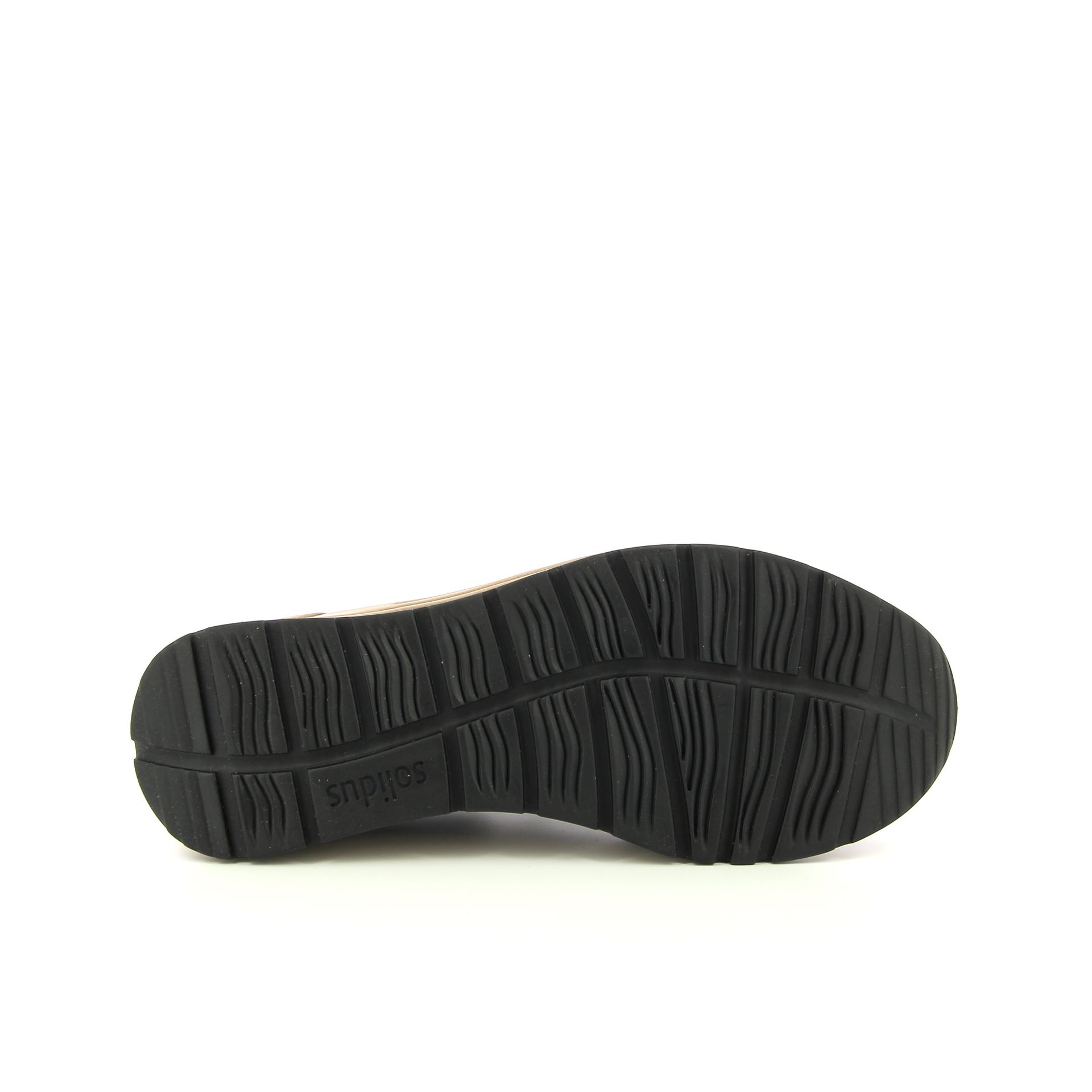 Solidus Holly 257522 bruin