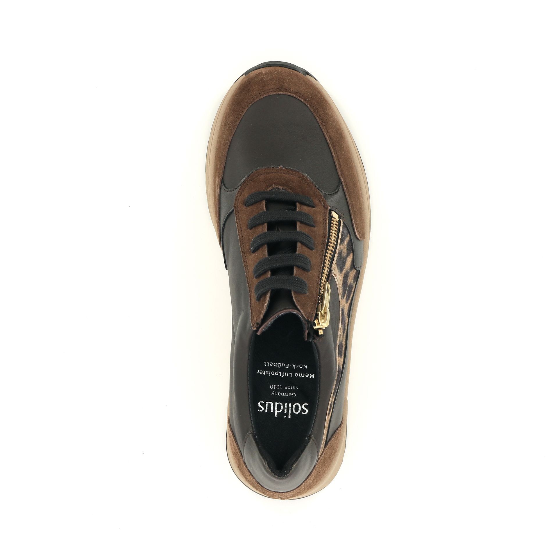 Solidus Holly 257522 bruin