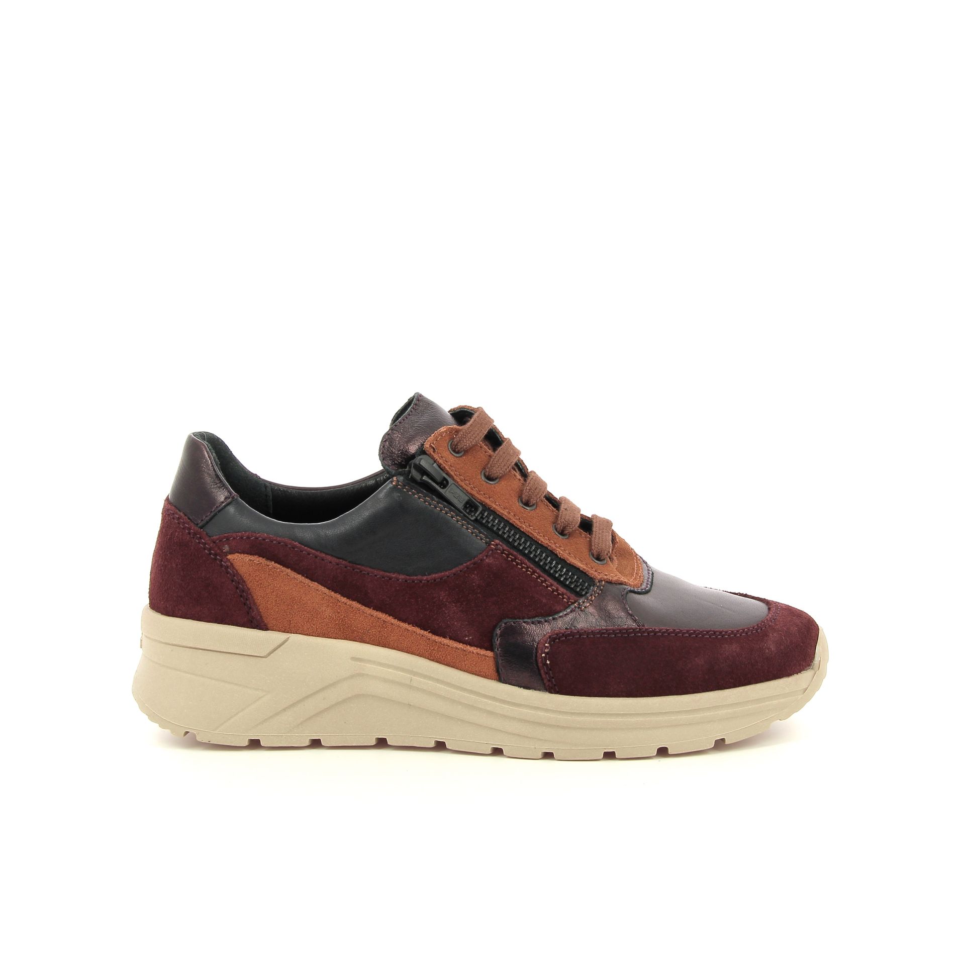 Solidus Holly 257523 rood