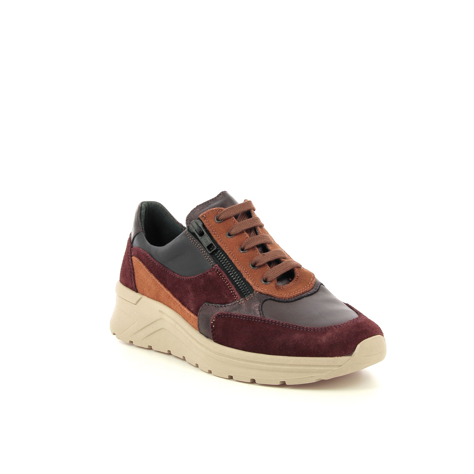 Solidus Holly 257523 rood