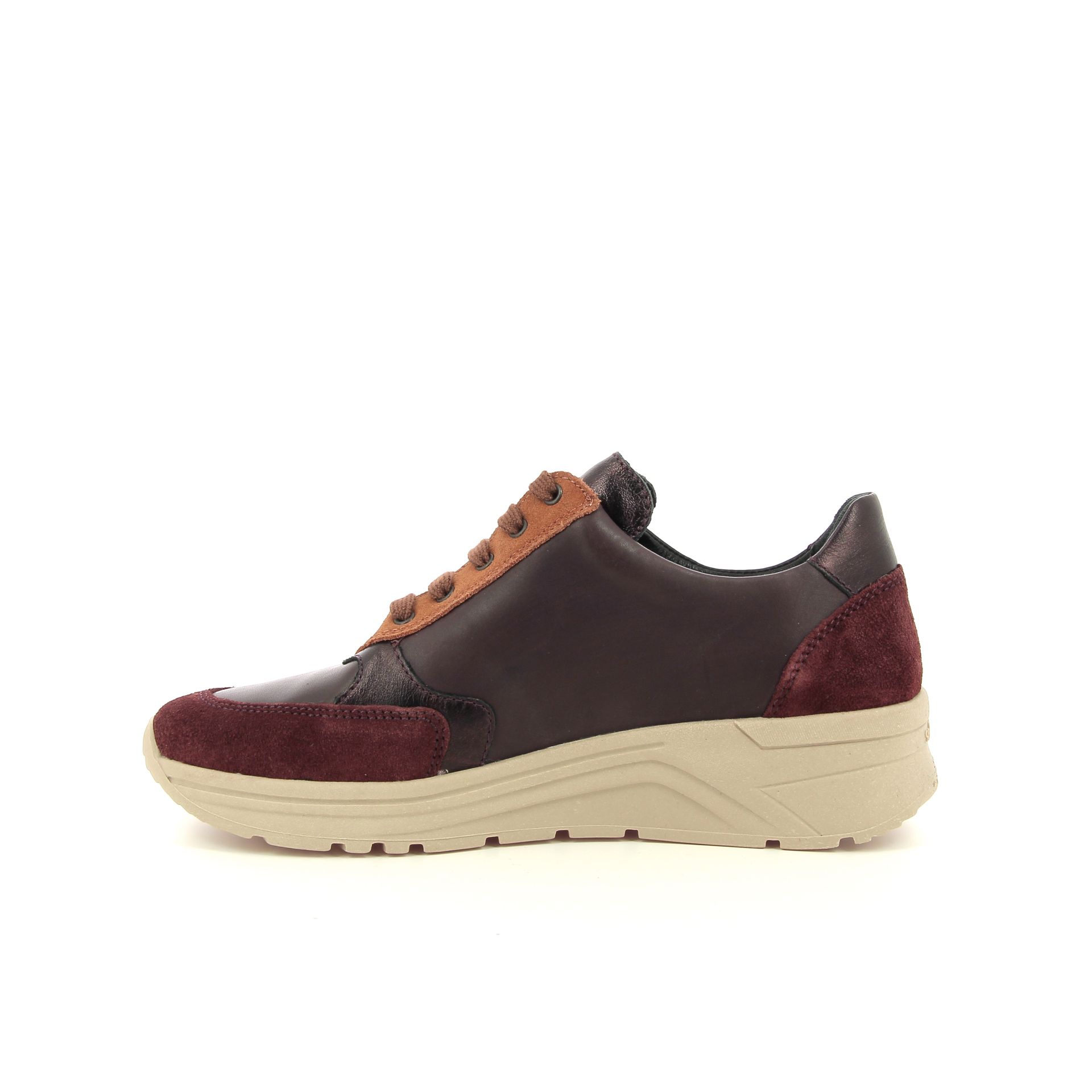 Solidus Holly 257523 rood