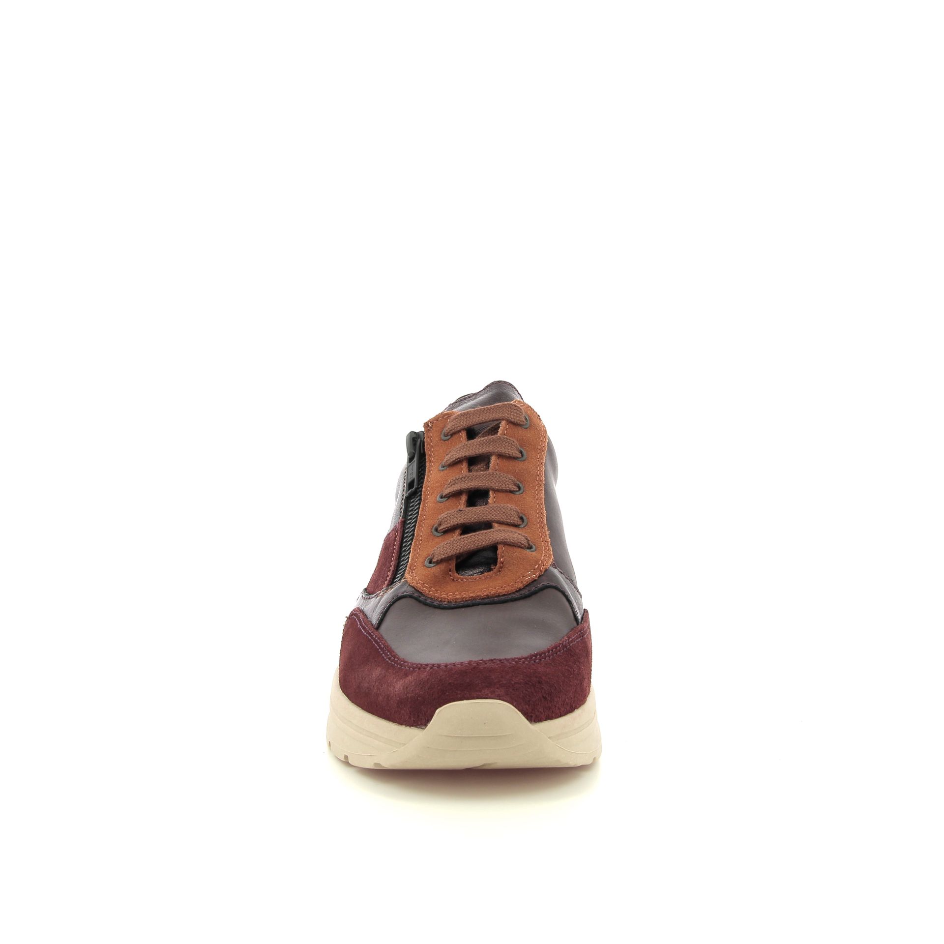 Solidus Holly 257523 rood