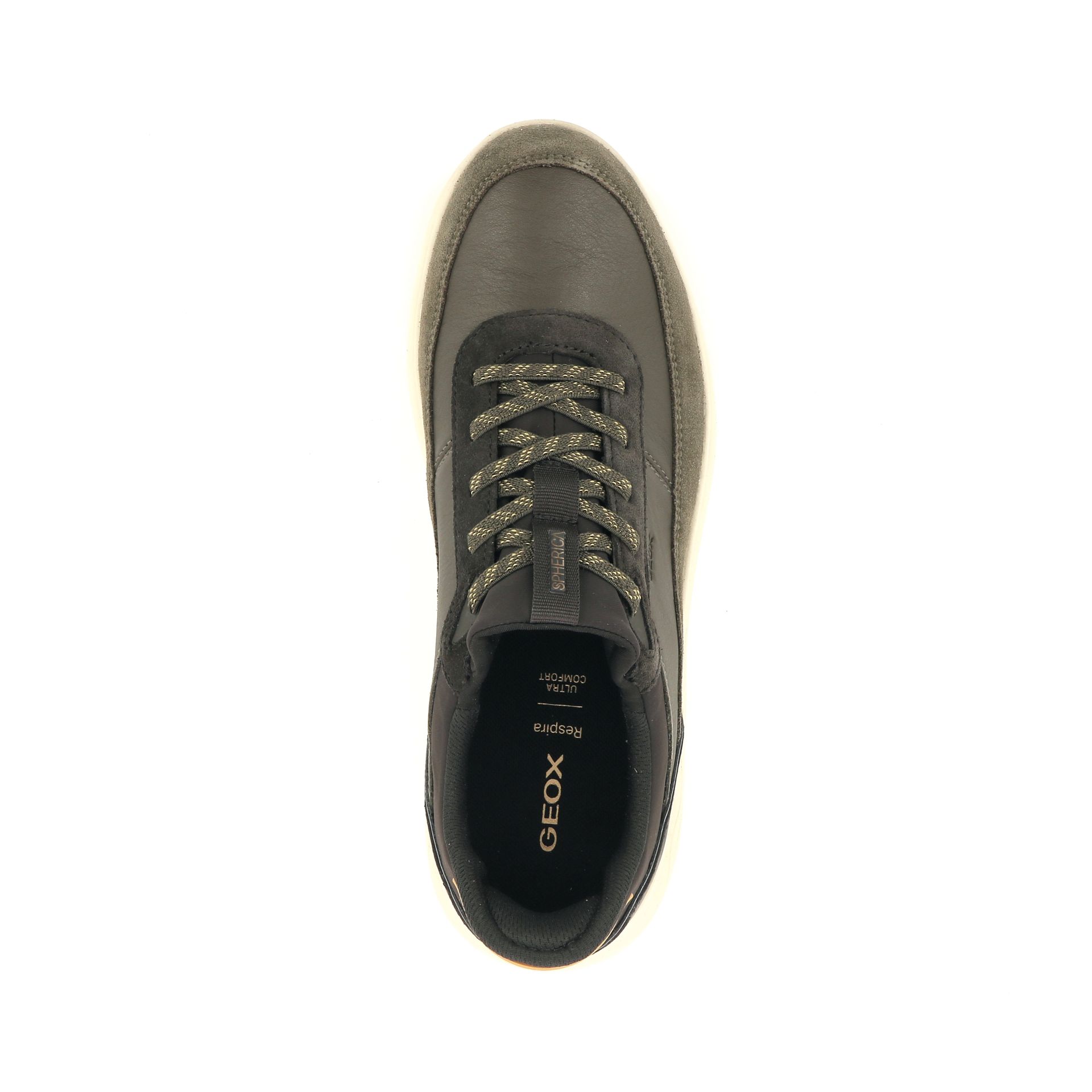 Geox Sneaker 257562 groen