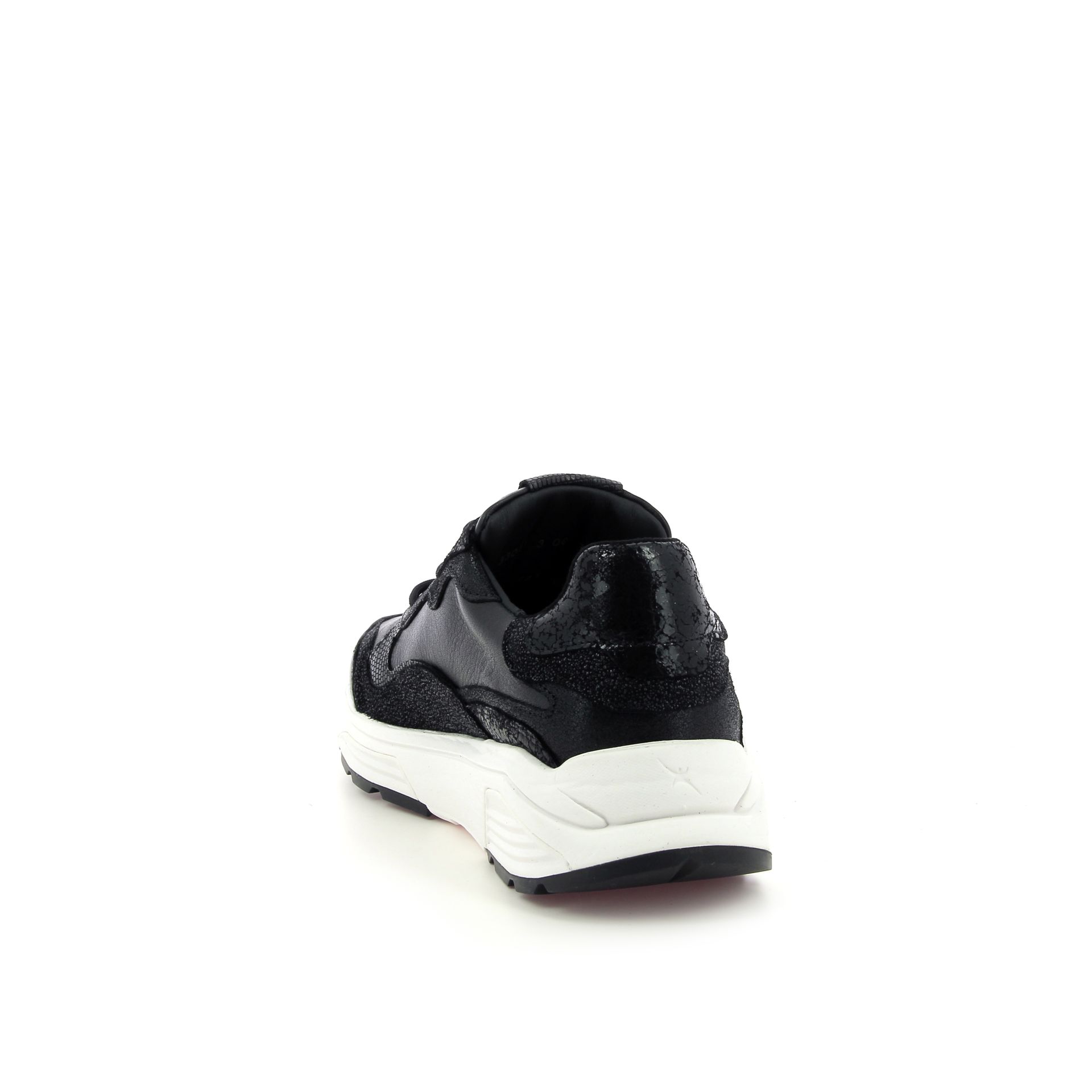 Xsensible Rainbow 257729 zwart