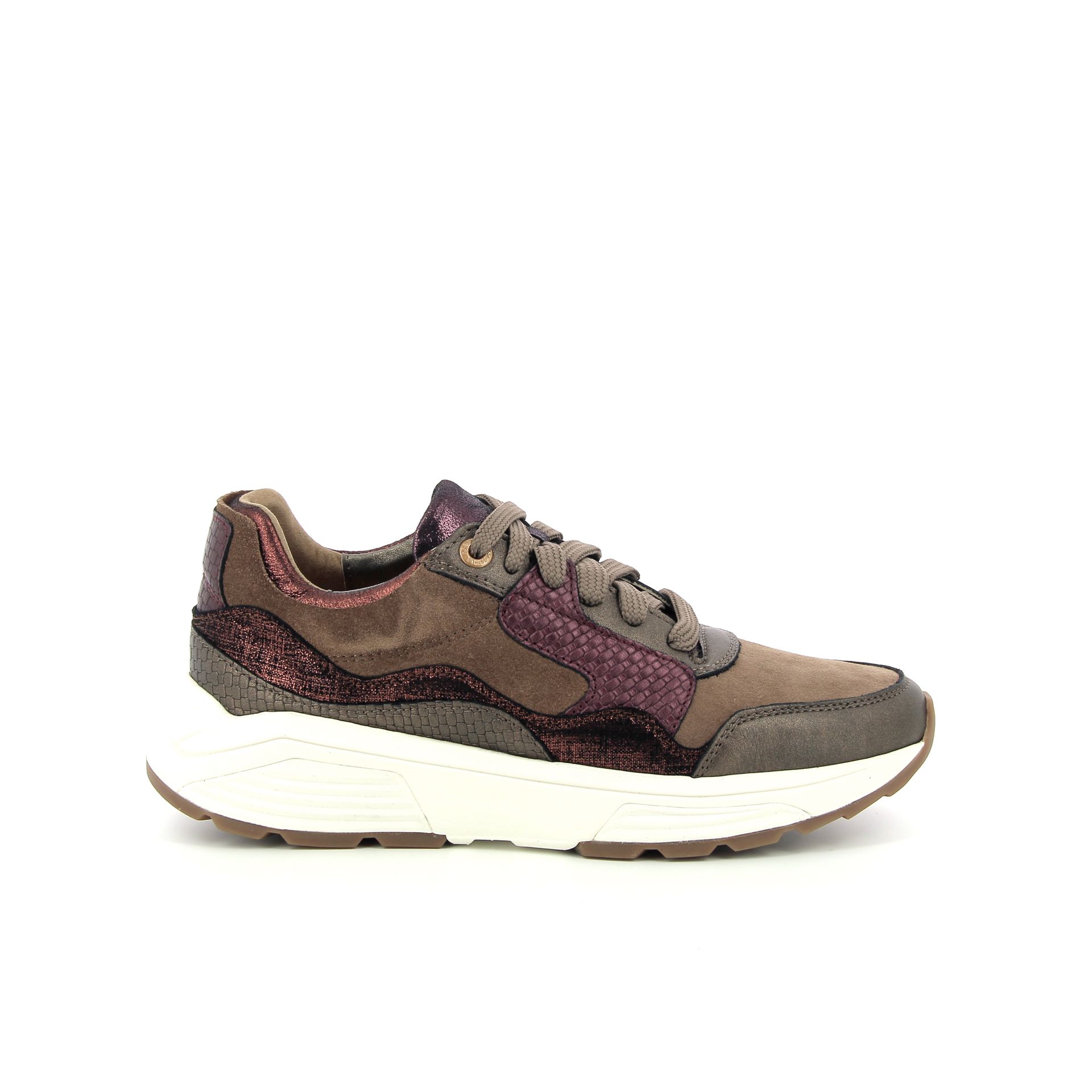 Xsensible Golden Gate 257733 cognac