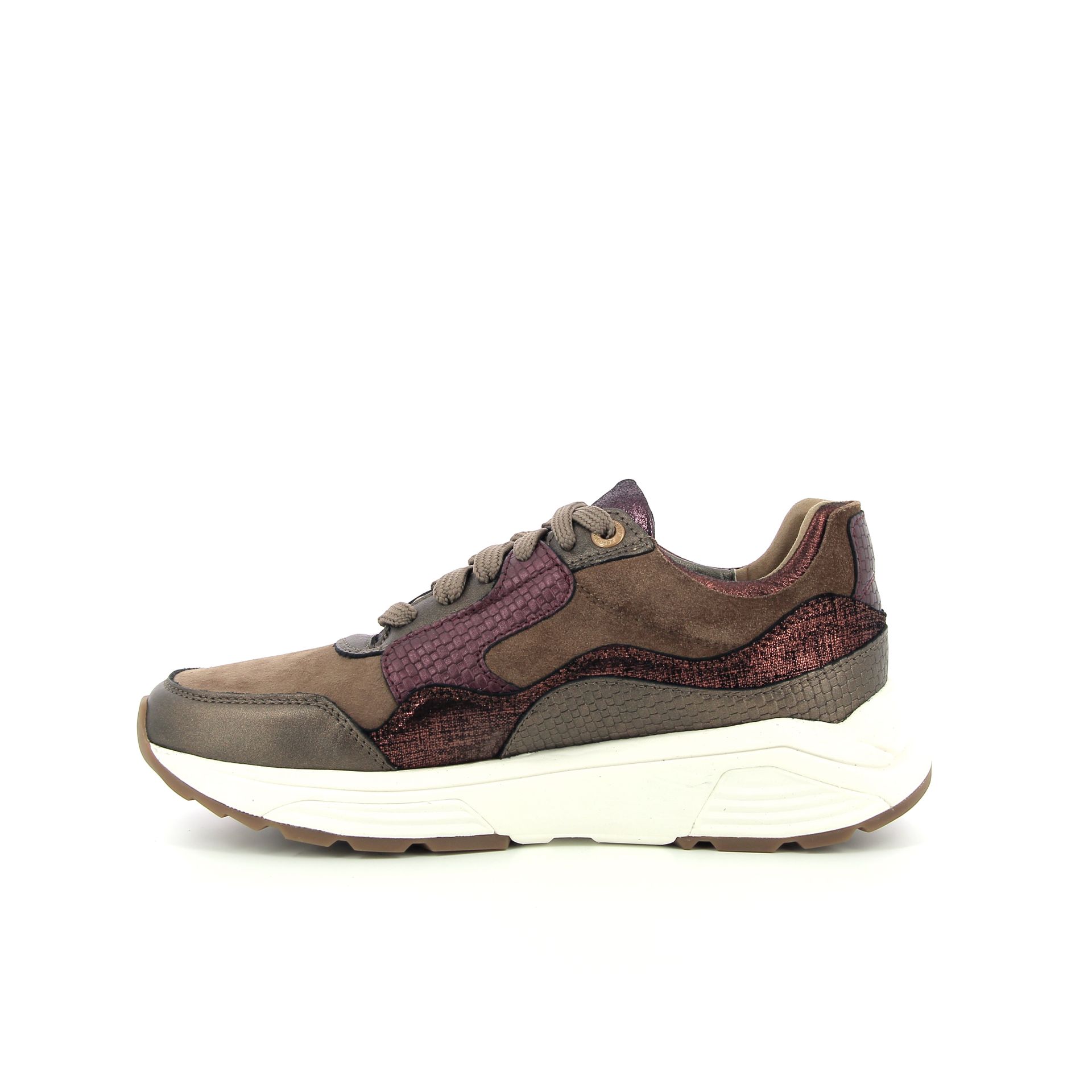 Xsensible Golden Gate 257733 cognac