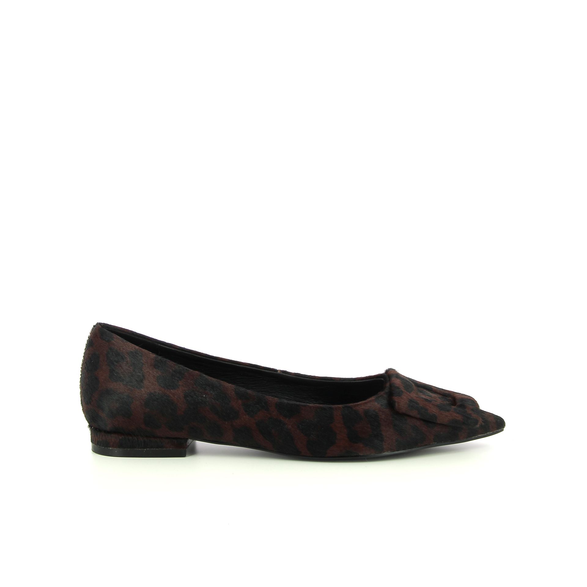 Bibi Lou Ballerina 257788 cognac
