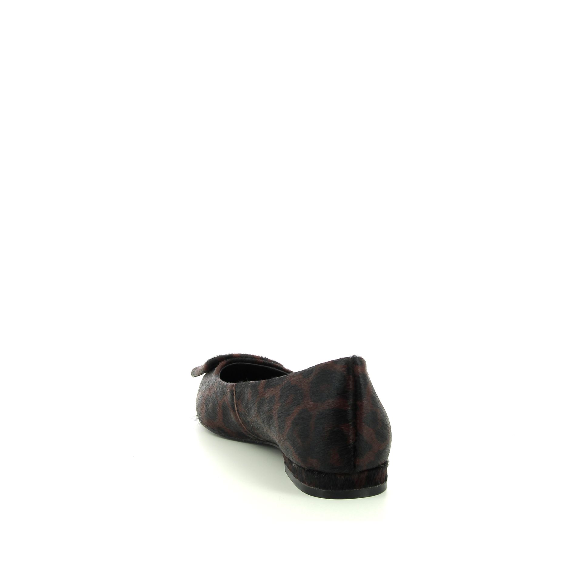 Bibi Lou Ballerina 257788 cognac