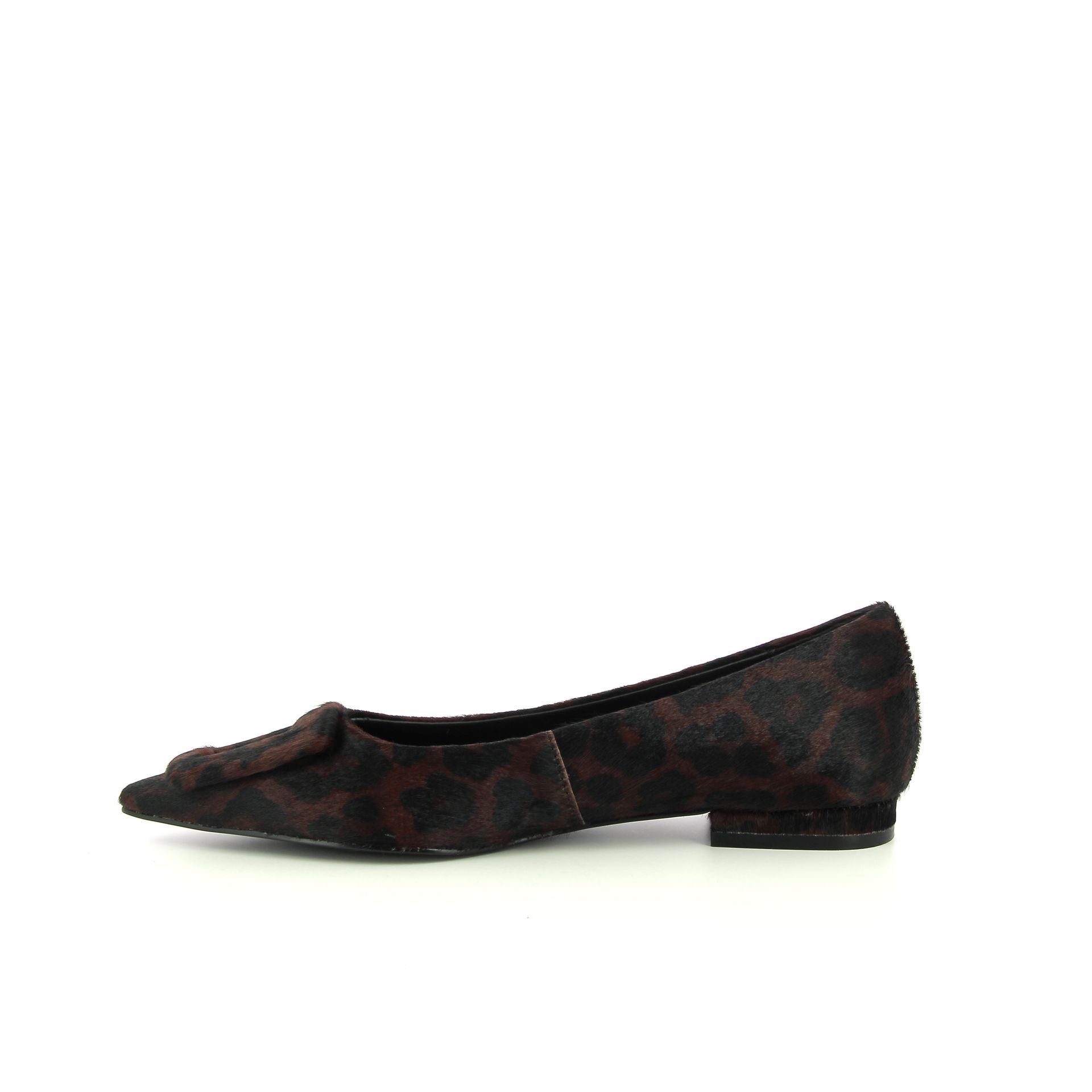 Bibi Lou Ballerina 257788 cognac