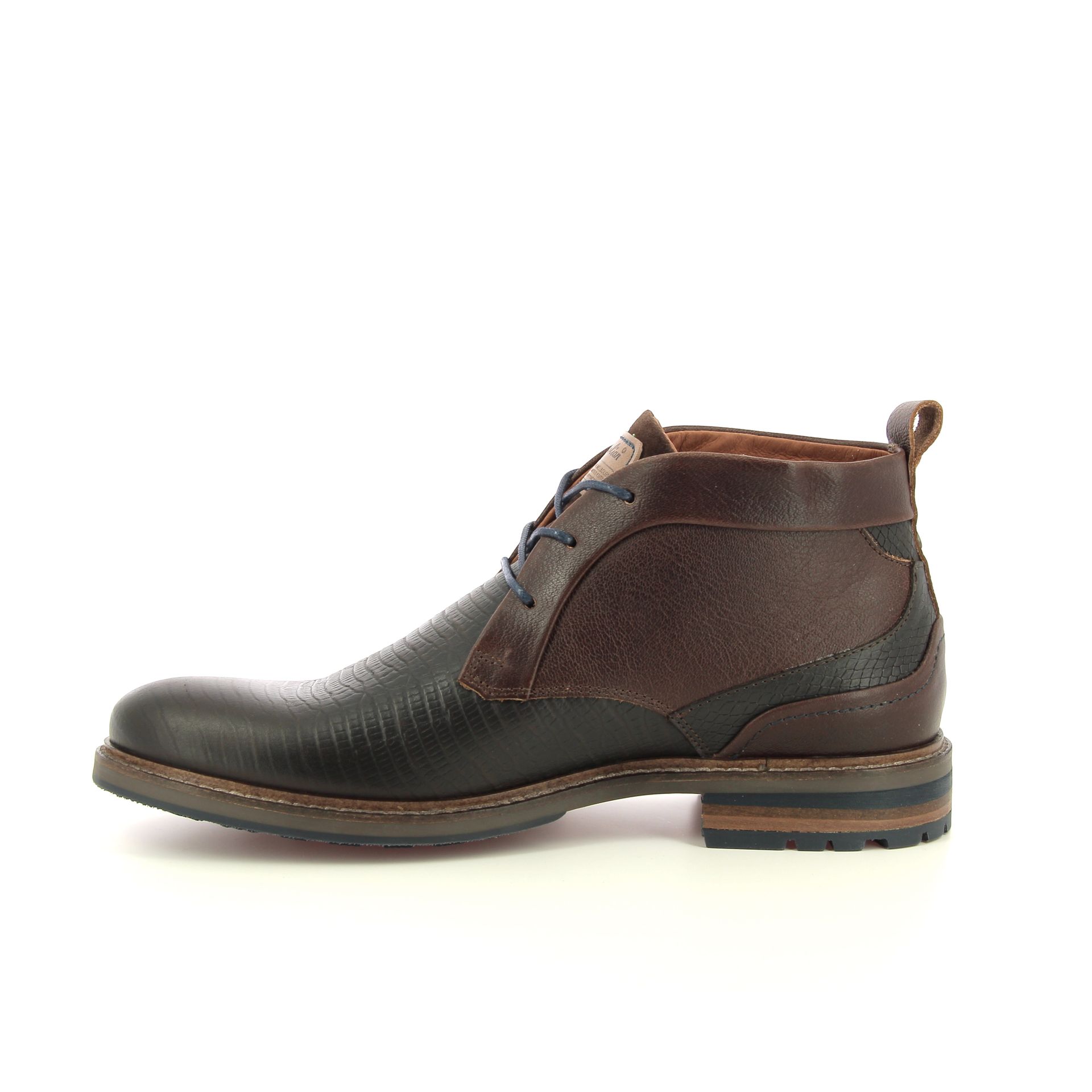 Australian Otimo 257972 bruin