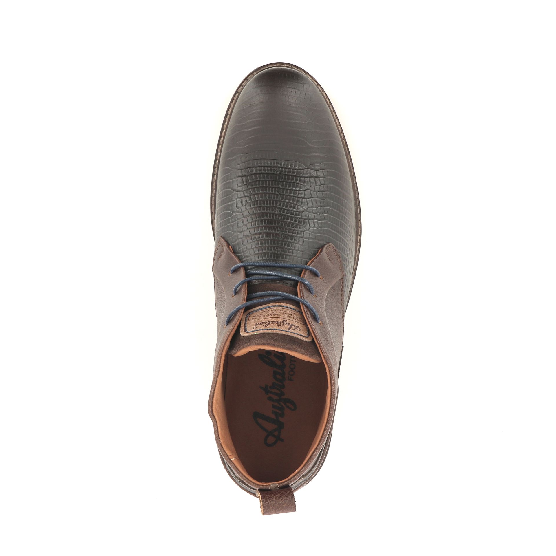 Australian Otimo 257972 bruin