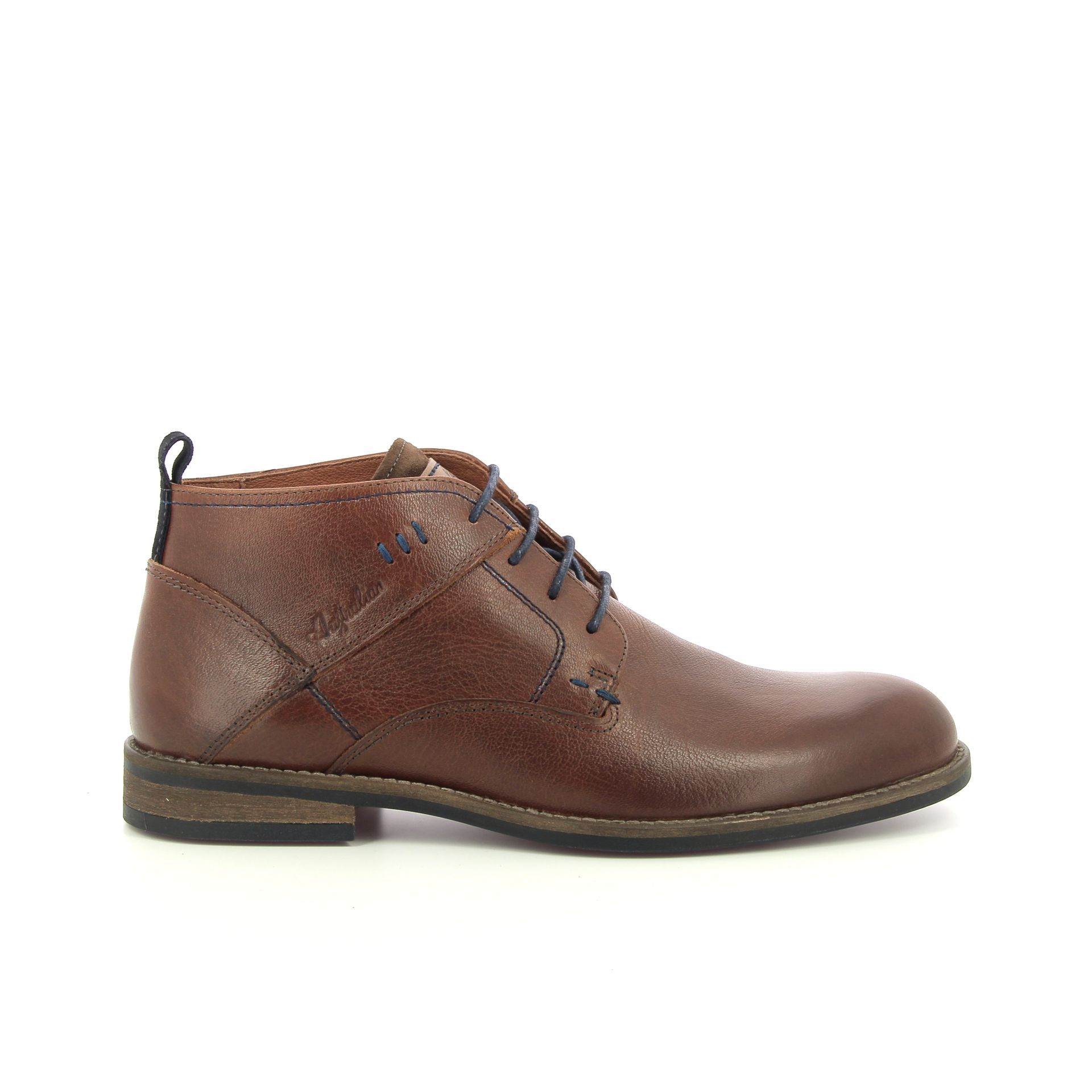 Australian Maine 257976 cognac